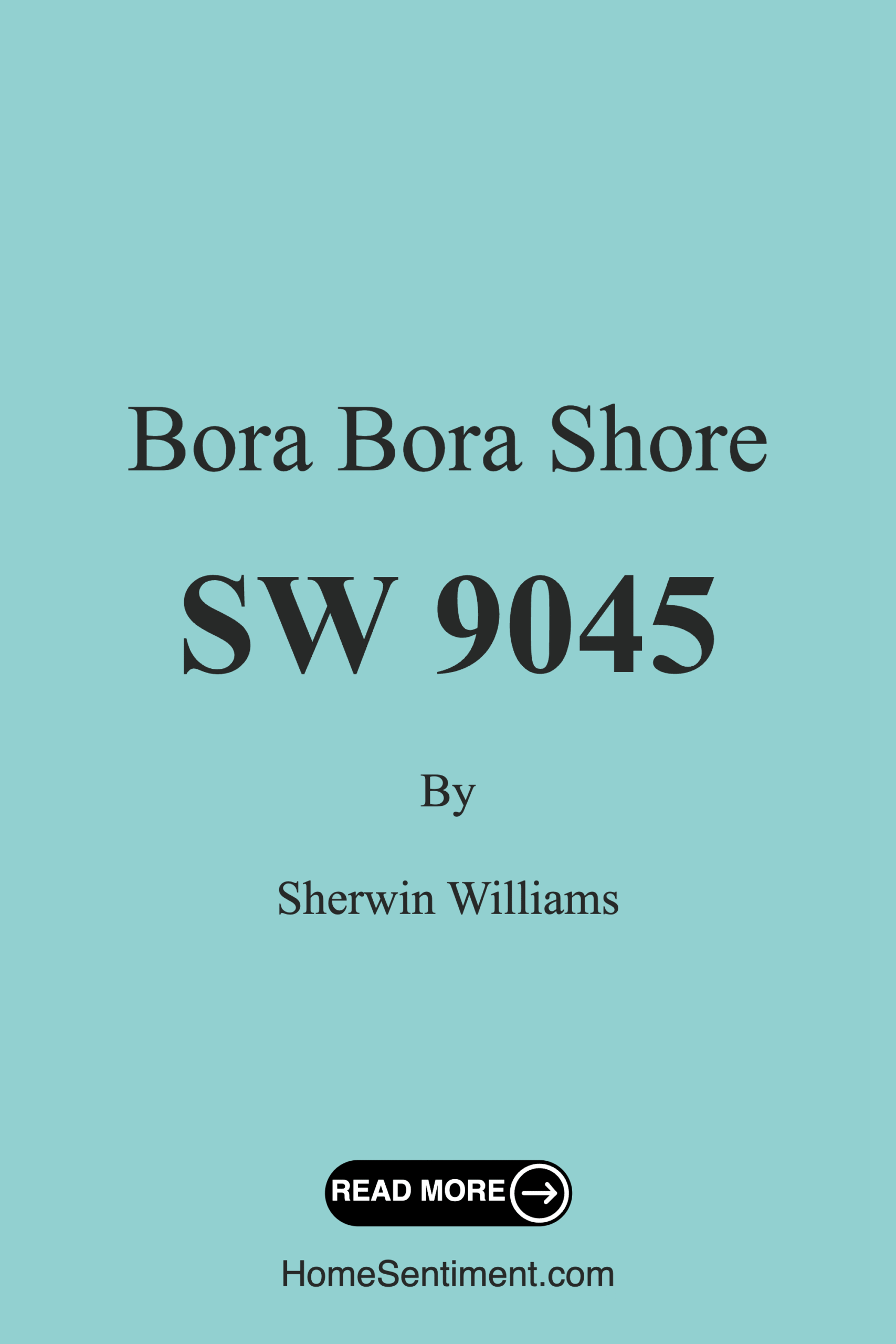 Bora Bora Shore SW 9045 by Sherwin Williams