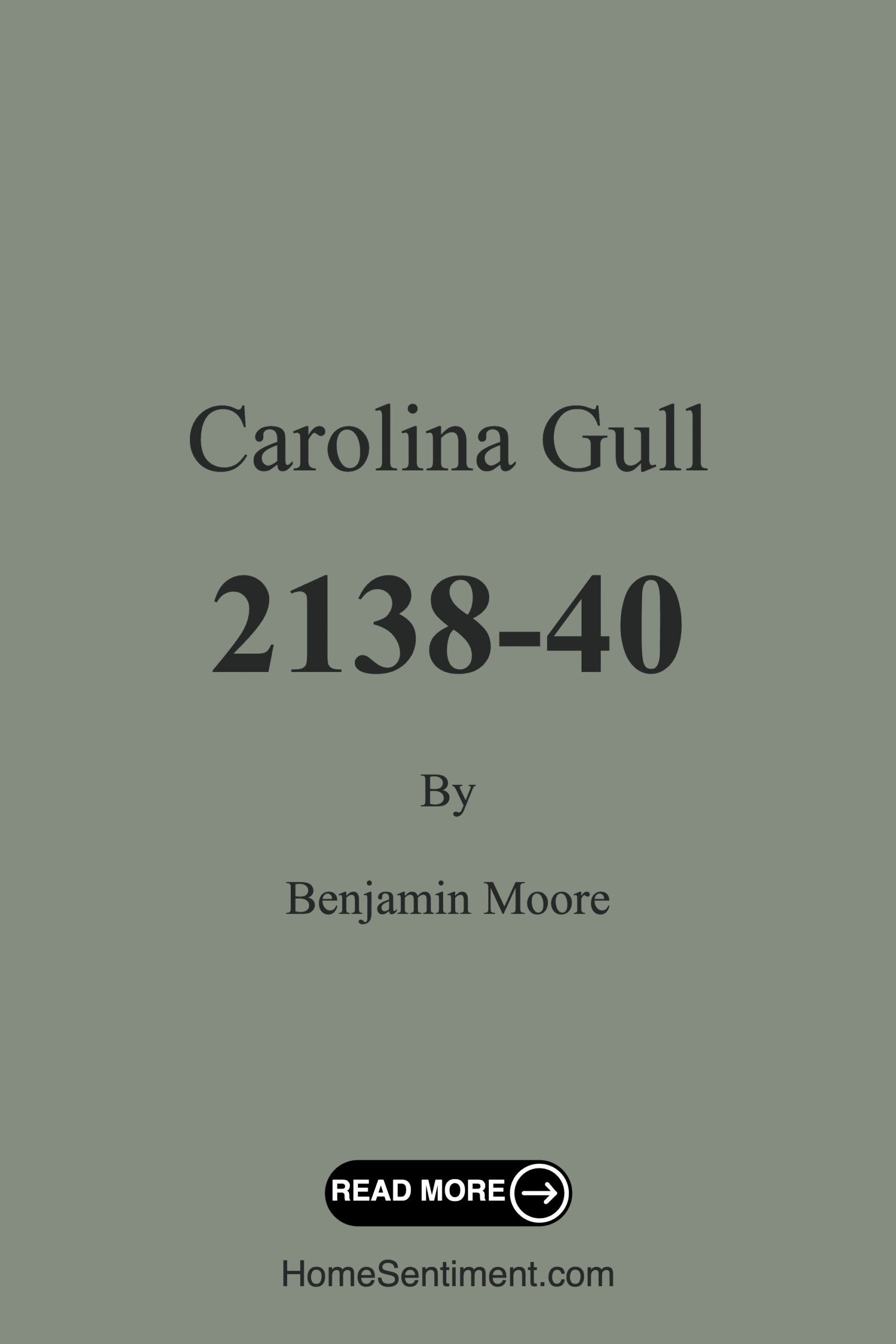Carolina Gull 2138-40 by Benjamin Moore