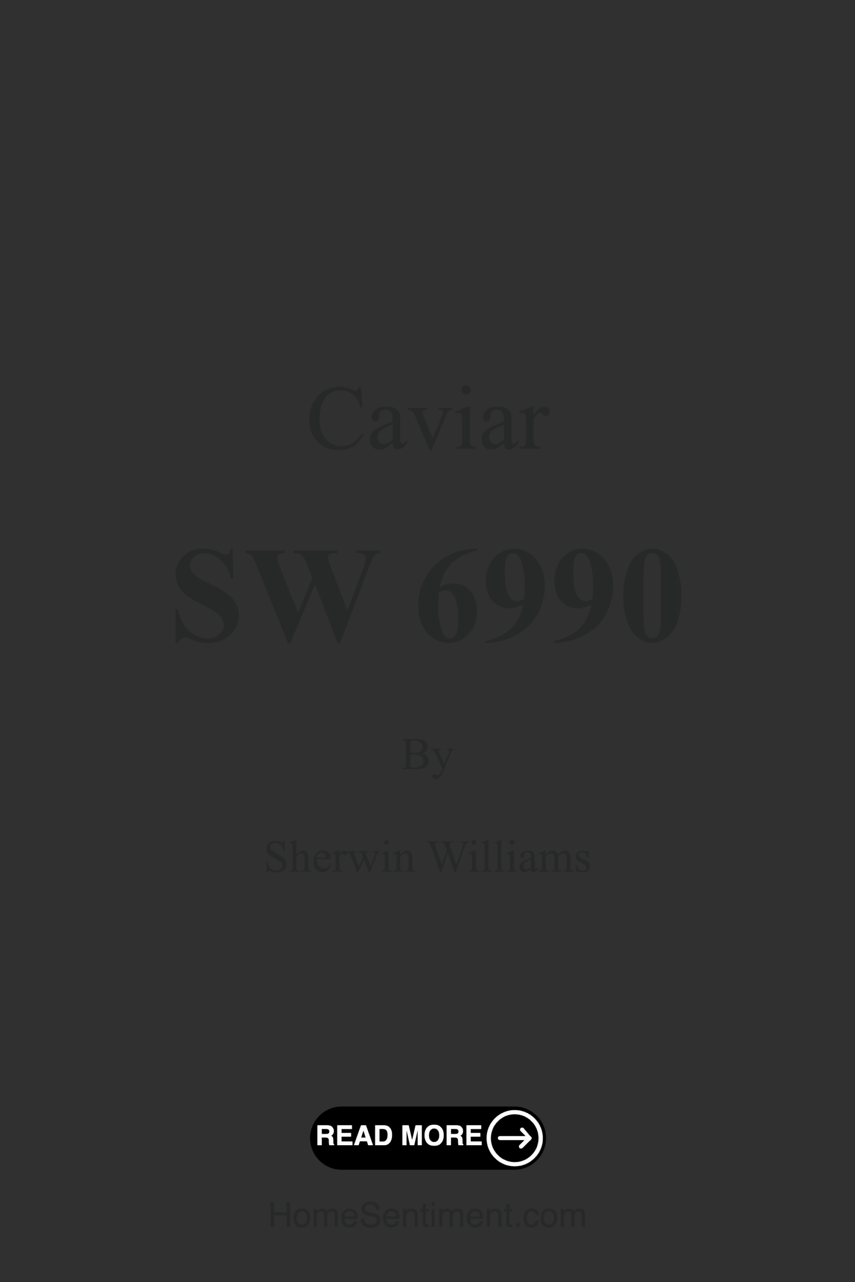 Caviar SW 6990 by Sherwin Williams