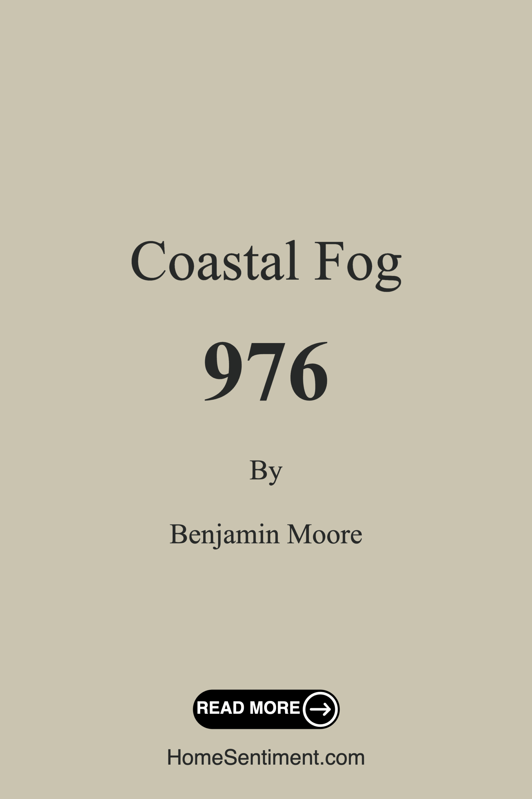 Coastal Fog 976 by Benjamin Moore