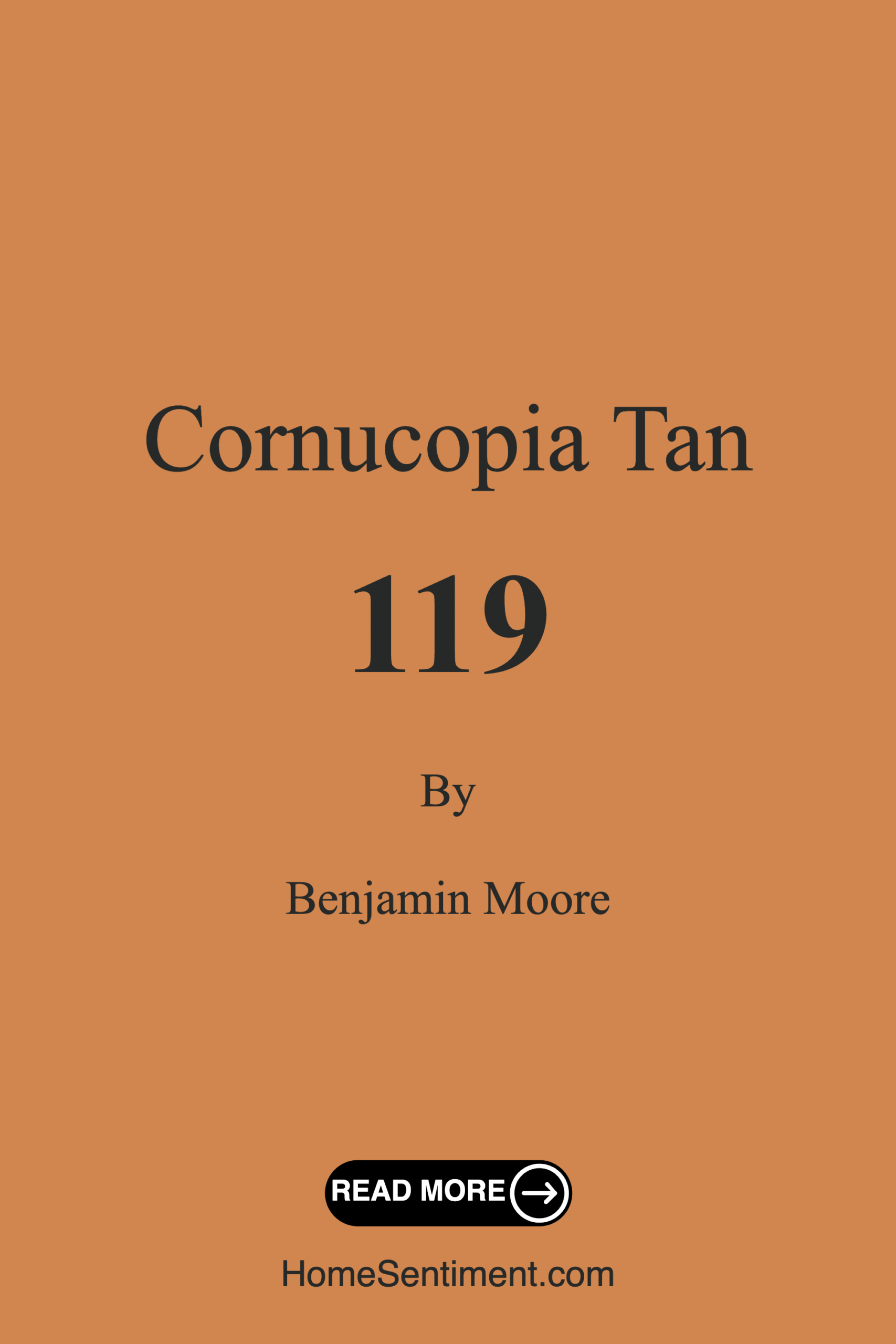 Cornucopia Tan 119 by Benjamin Moore