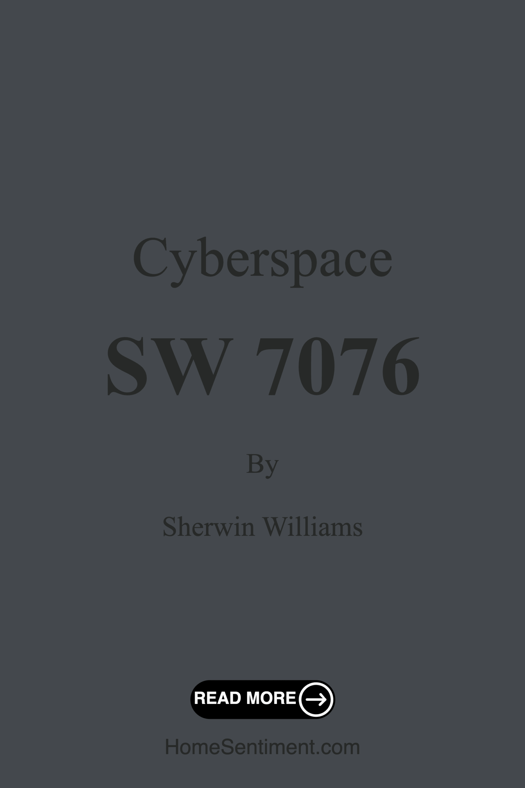 Cyberspace SW 7076 by Sherwin Williams