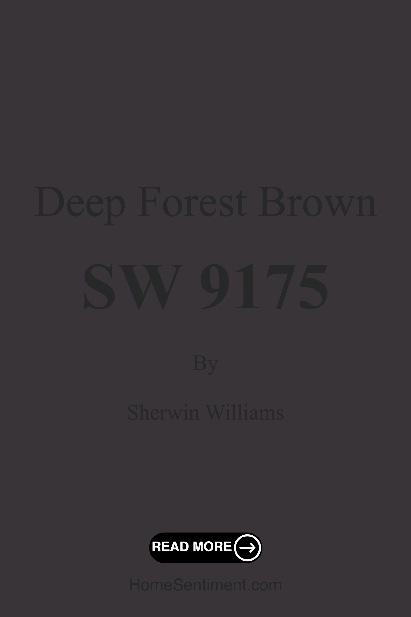 Deep Forest Brown SW 9175 by Sherwin Williams