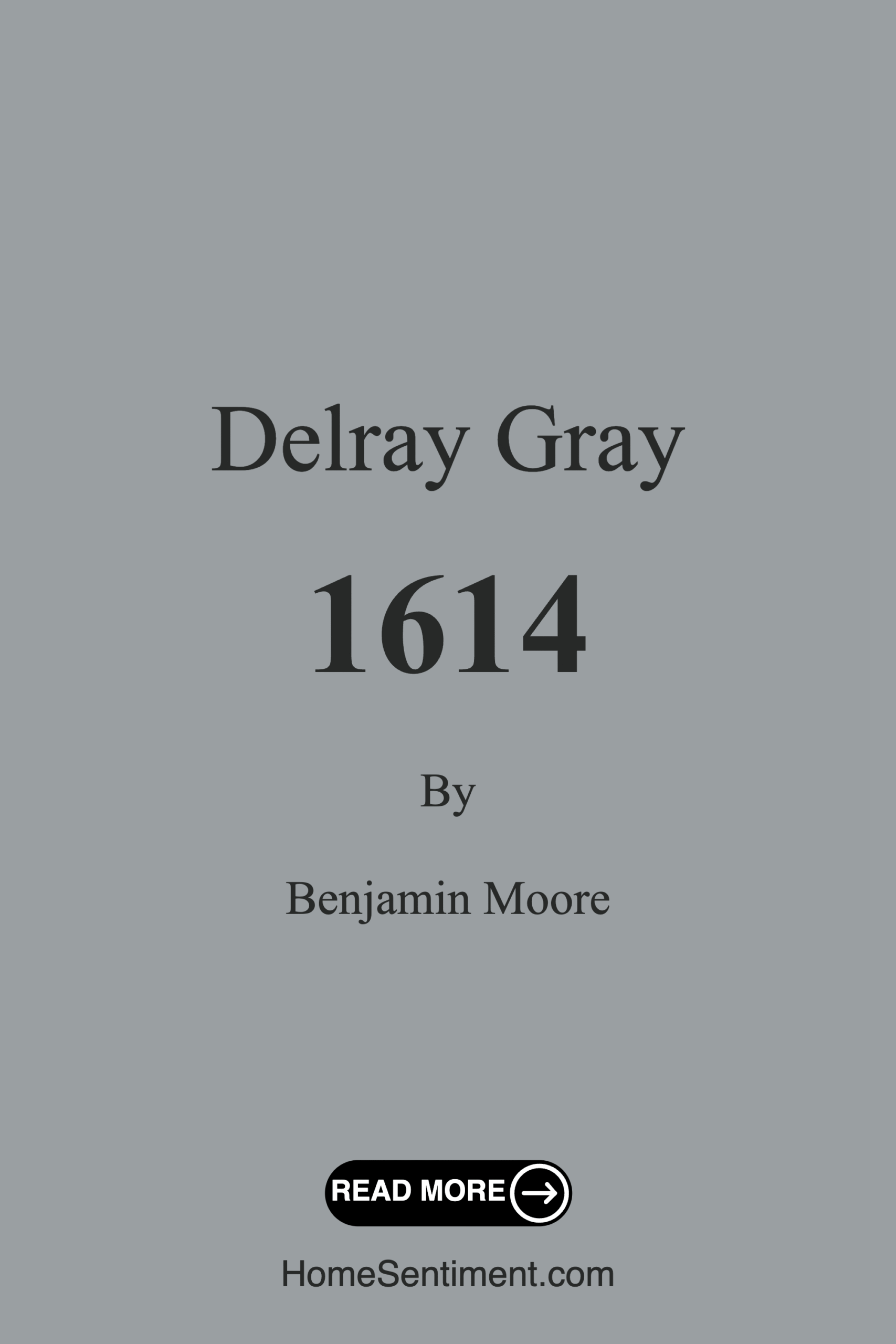 Delray Gray 1614 by Benjamin Moore