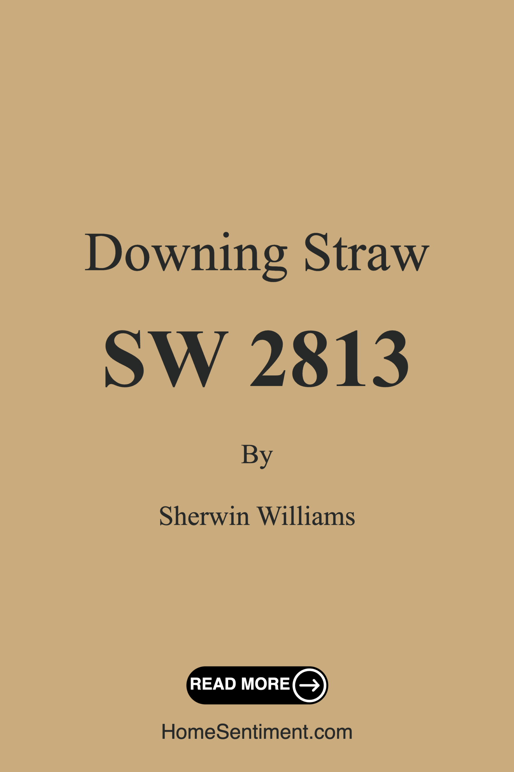 Downing Straw SW 2813 by Sherwin Williams