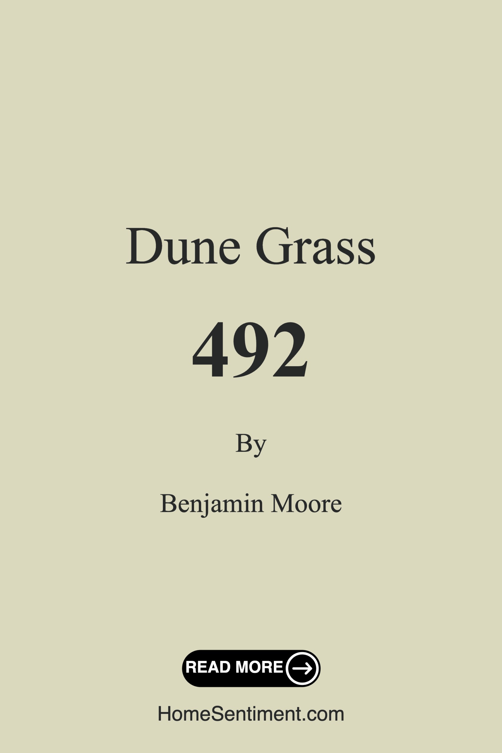 Dune Grass 492 by Benjamin Moore