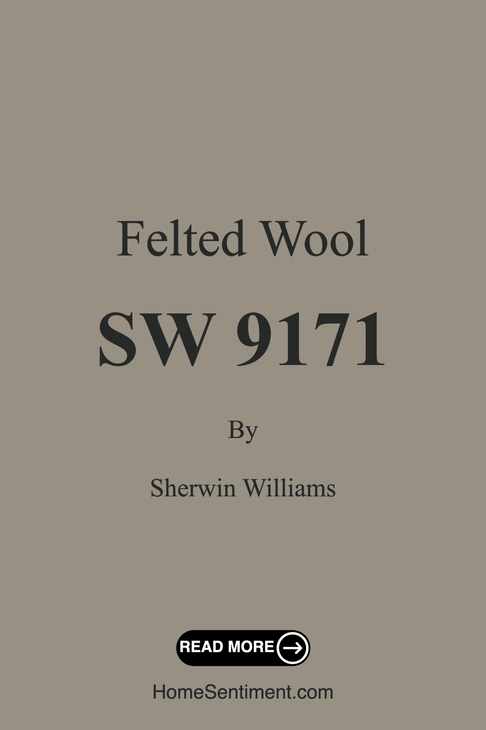 Felted Wool SW 9171 by Sherwin Williams