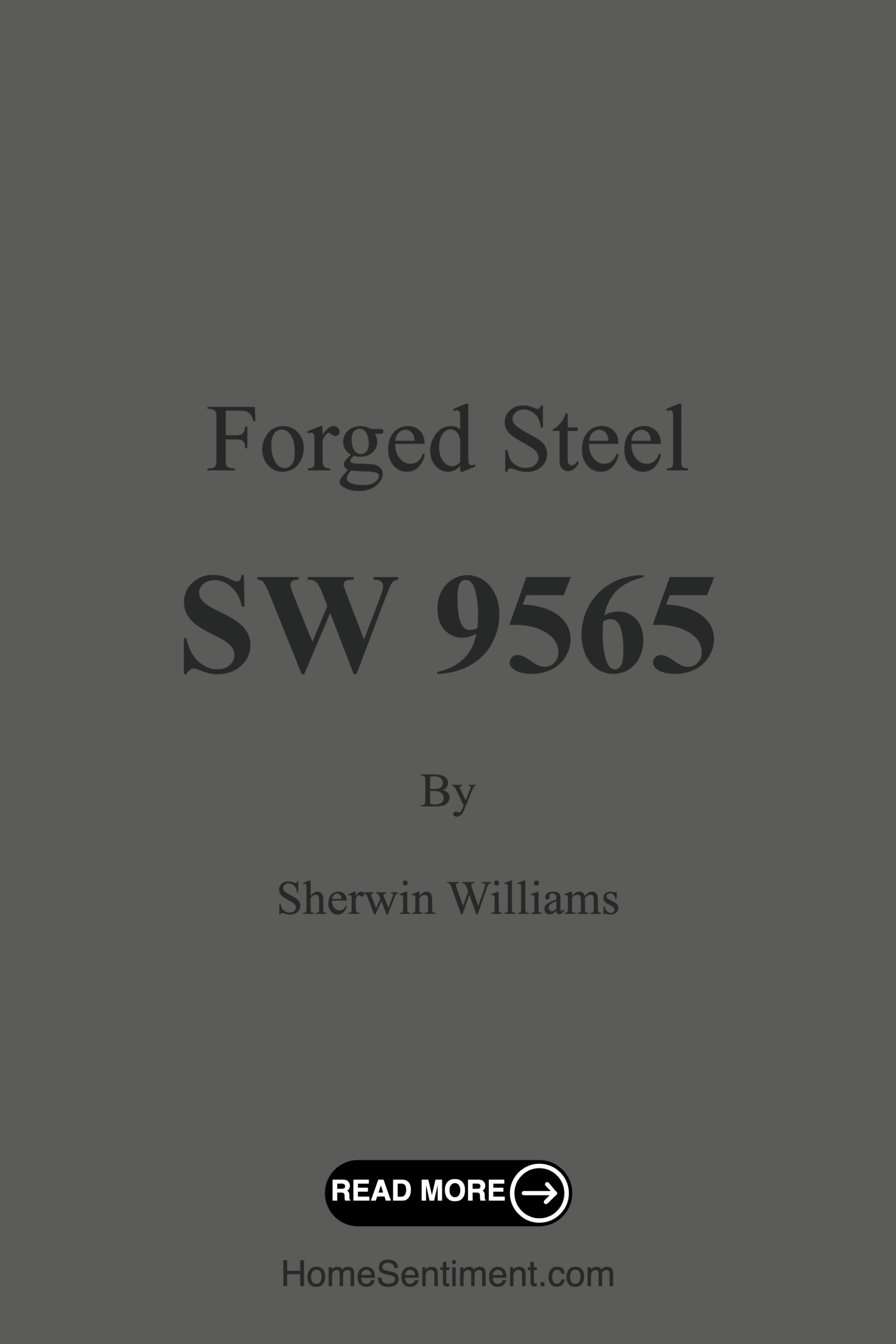 Forged Steel SW 9565 by Sherwin Williams