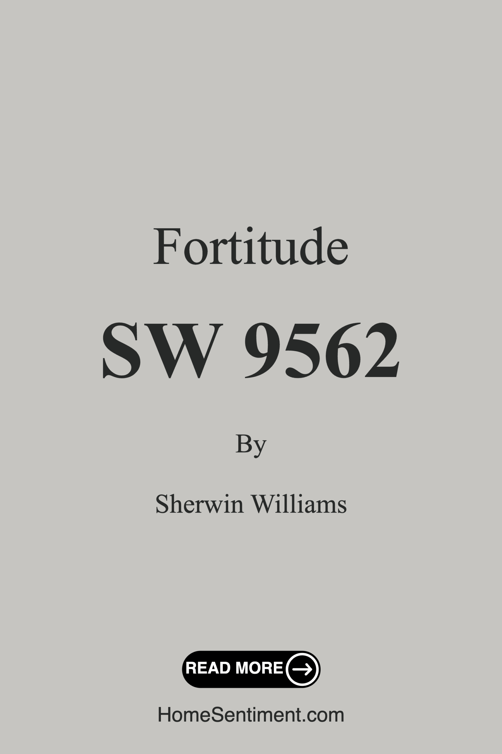 Fortitude SW 9562 by Sherwin Williams