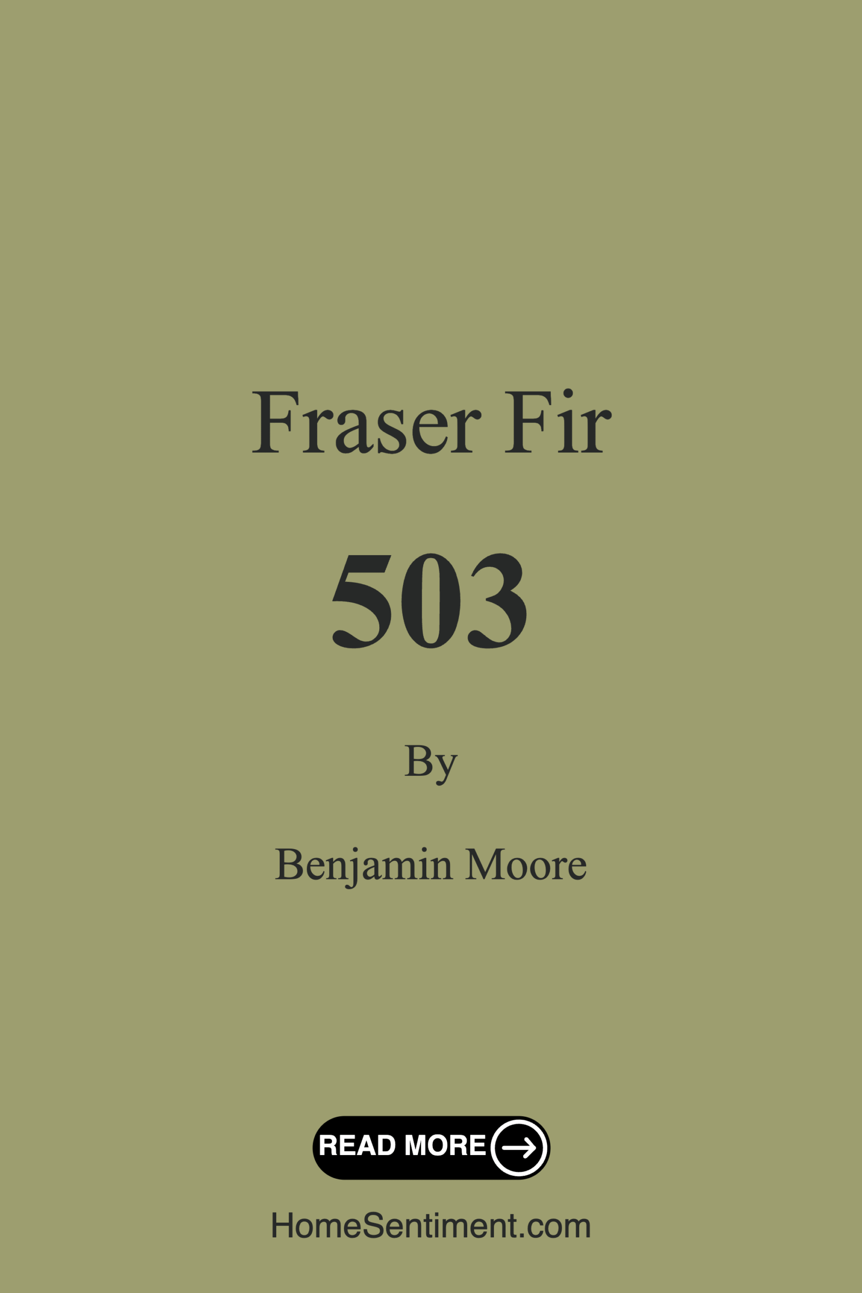 Fraser Fir 503 by Benjamin Moore