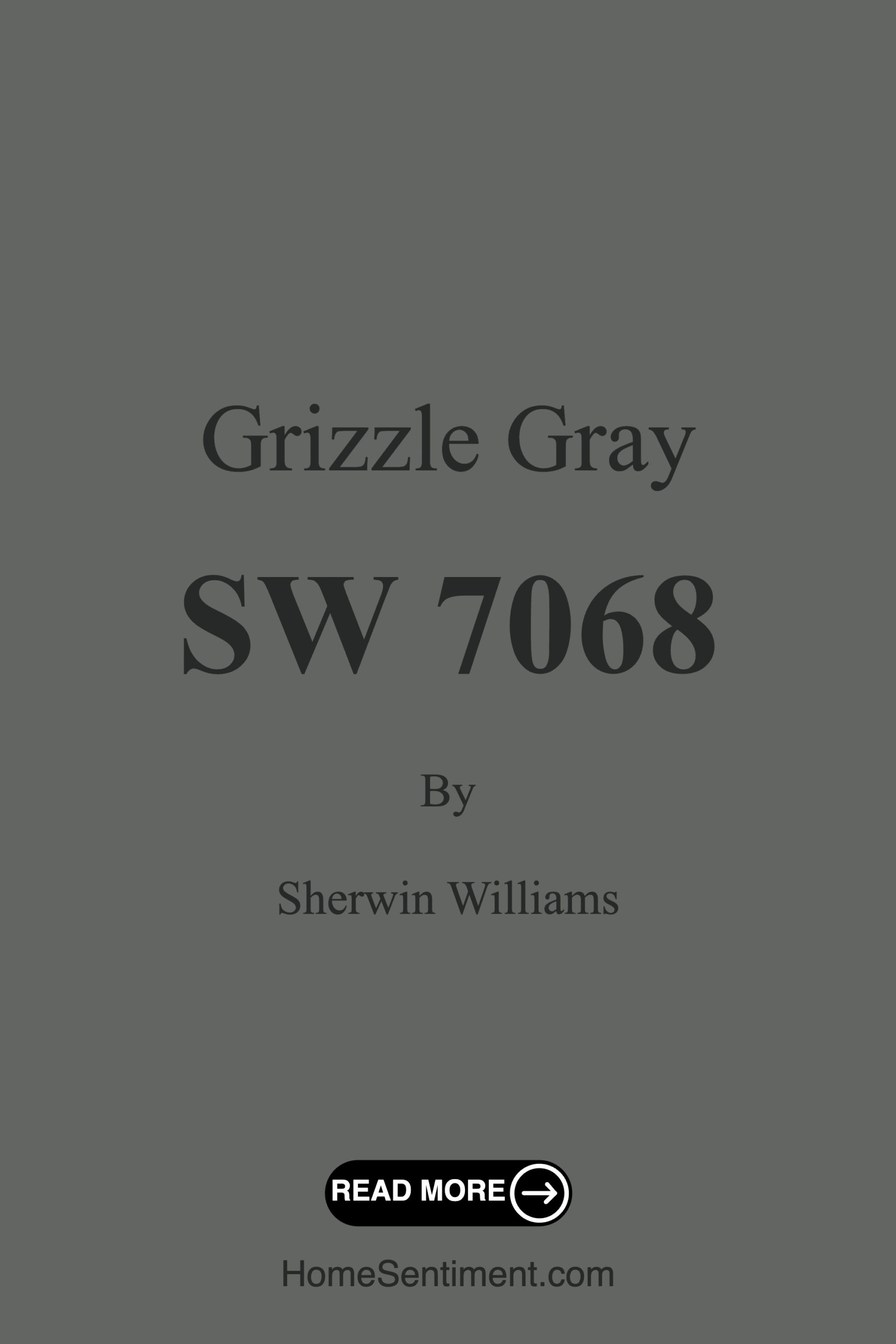Grizzle Gray SW 7068 by Sherwin Williams