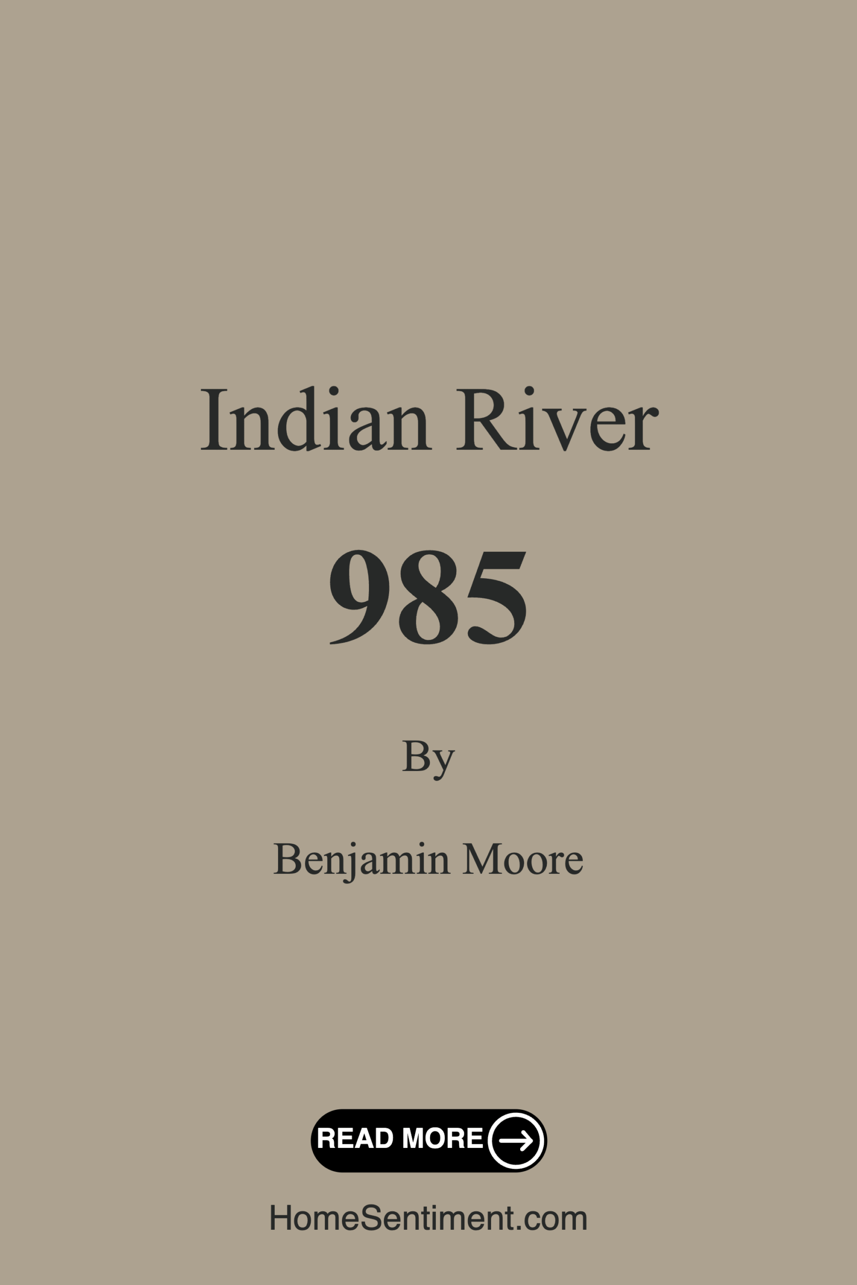 Indian River 985 by Benjamin Moore