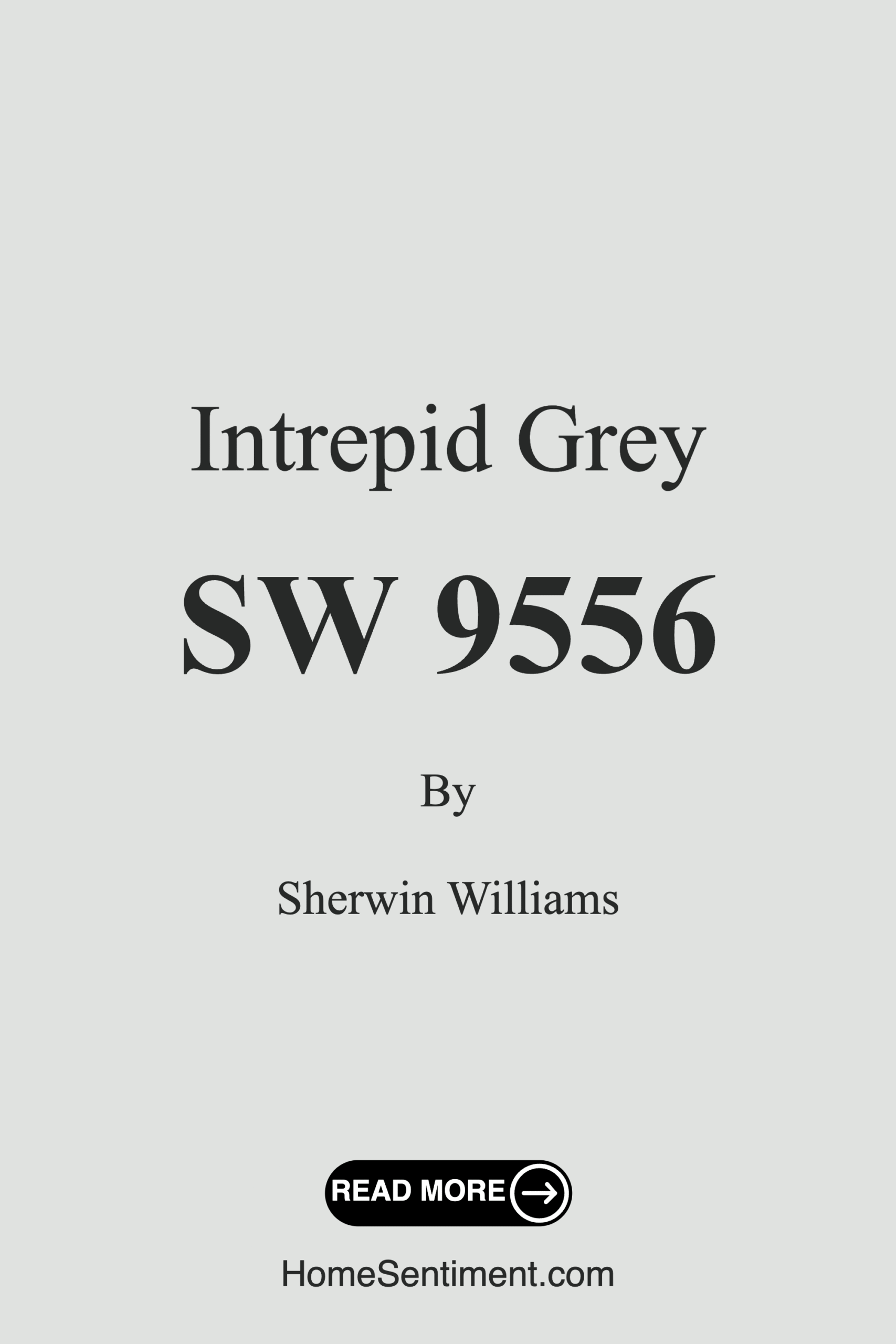 Intrepid Grey SW 9556 by Sherwin Williams