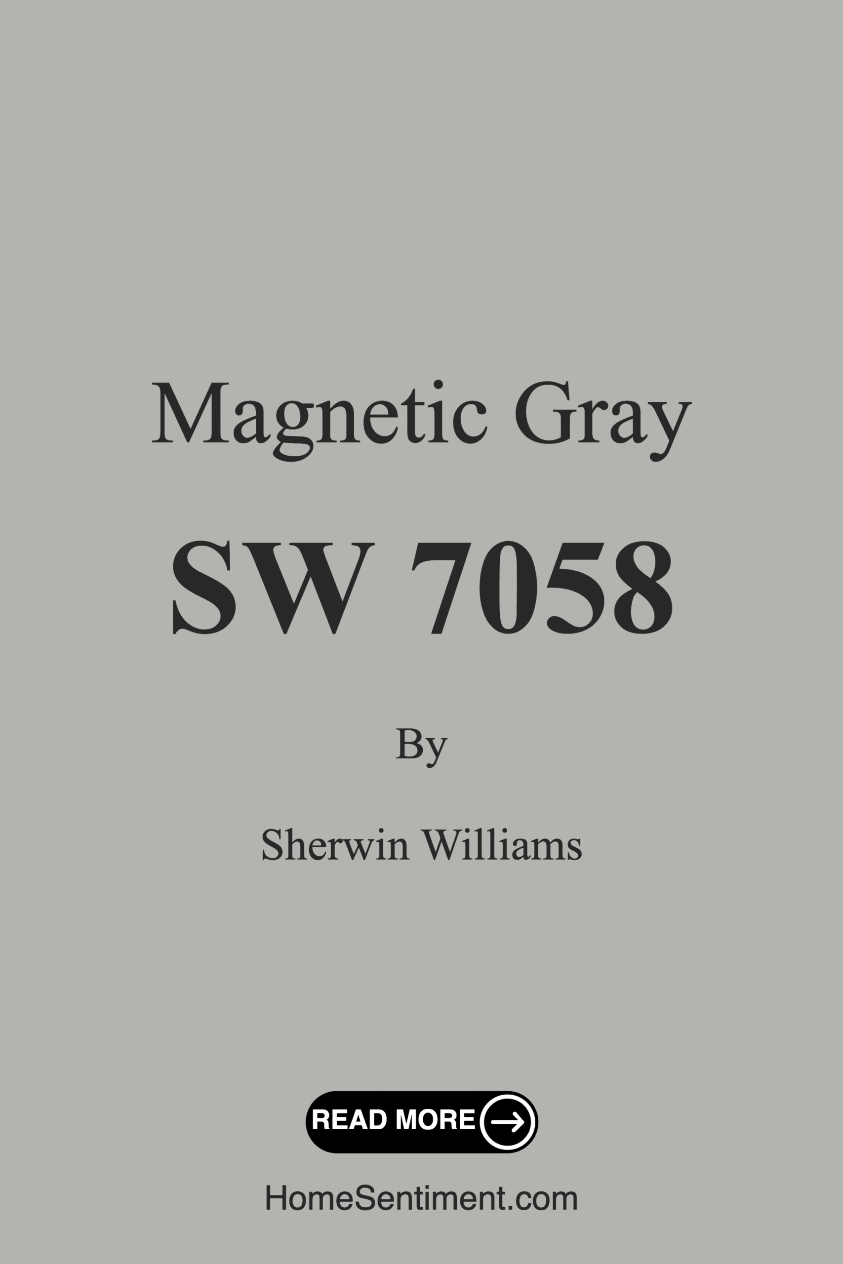 Magnetic Gray SW 7058 by Sherwin Williams