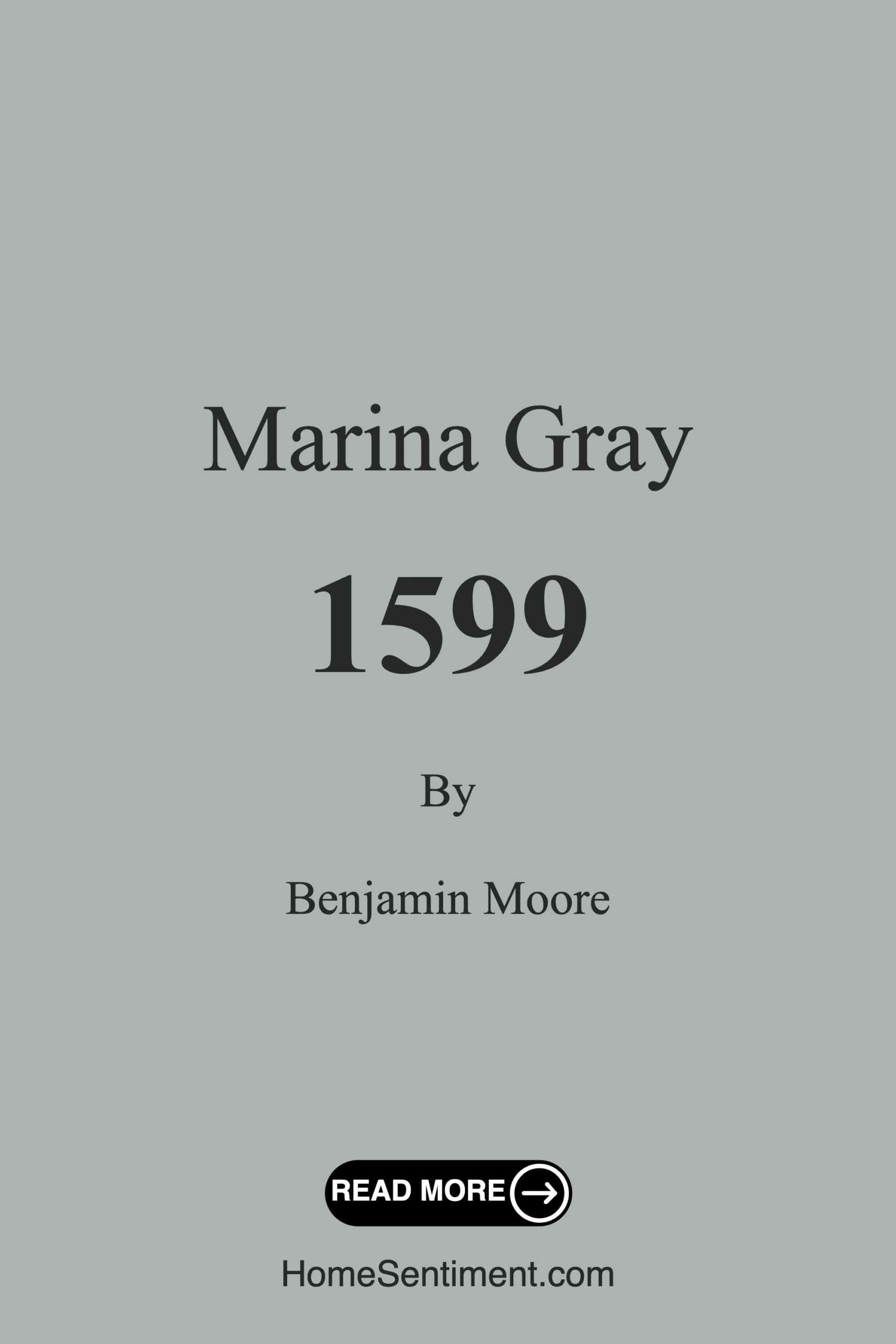 Marina Gray 1599 by Benjamin Moore