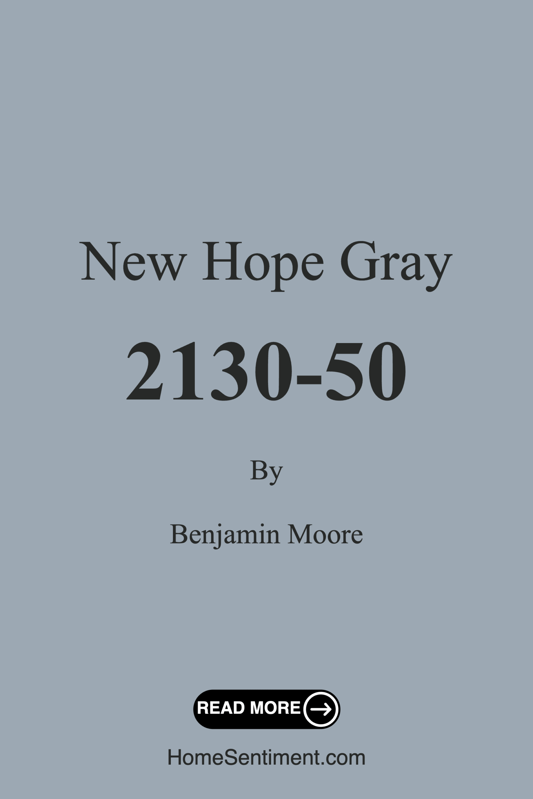 New Hope Gray 2130-50 by Benjamin Moore