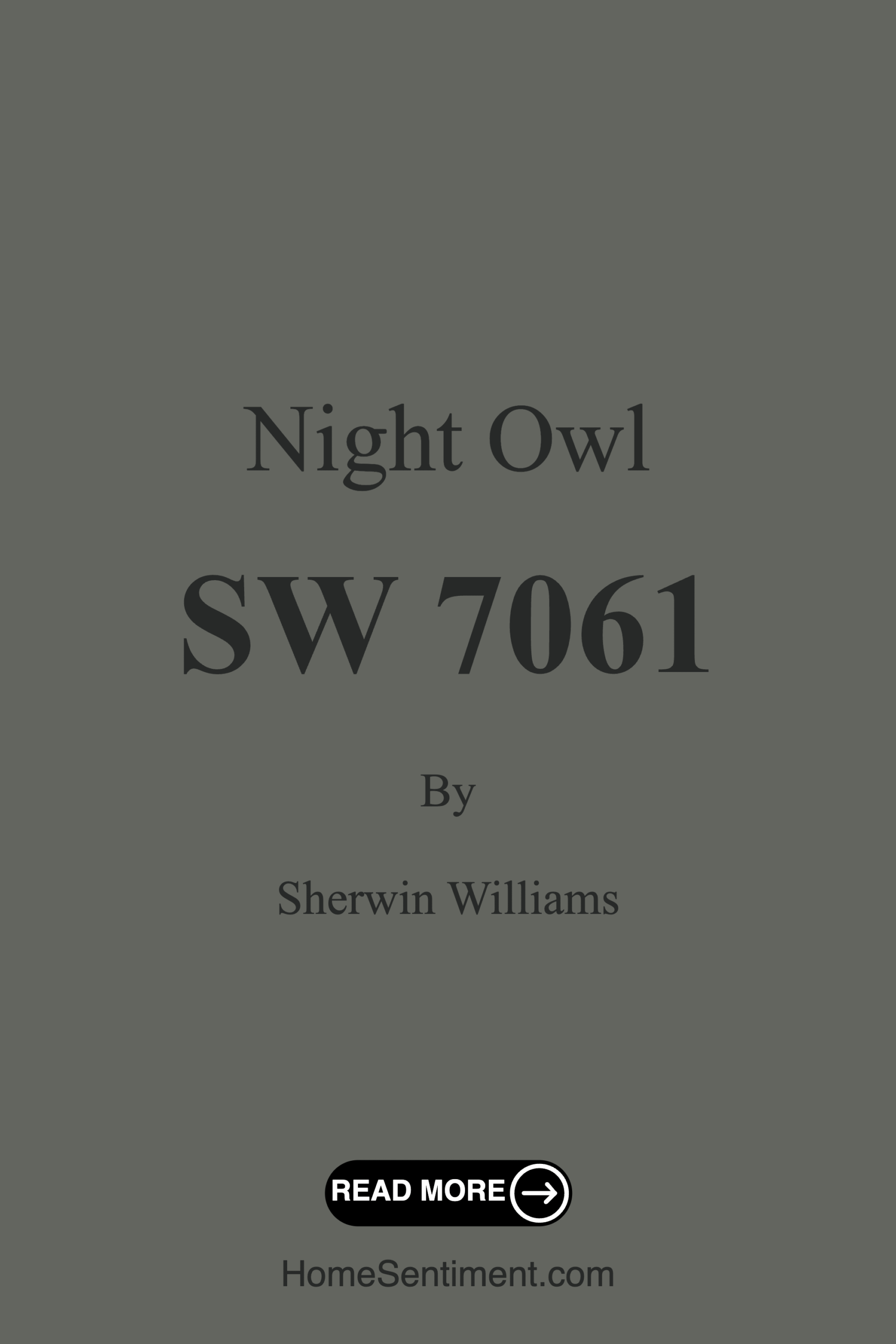 Night Owl SW 7061 by Sherwin Williams