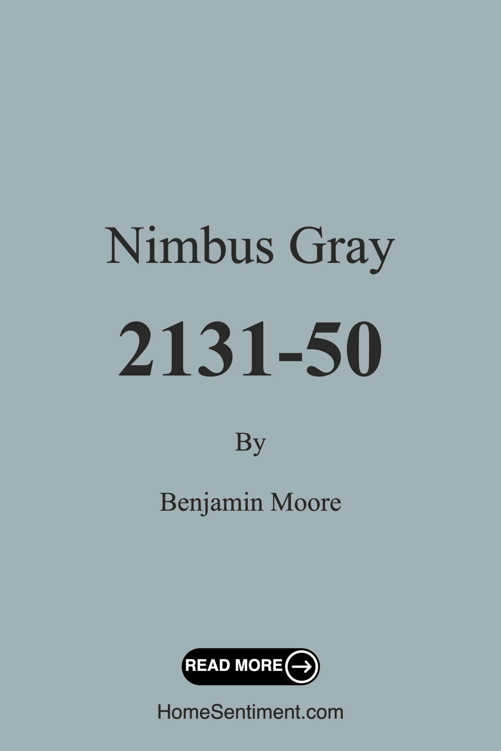 Nimbus Gray 2131-50 by Benjamin Moore