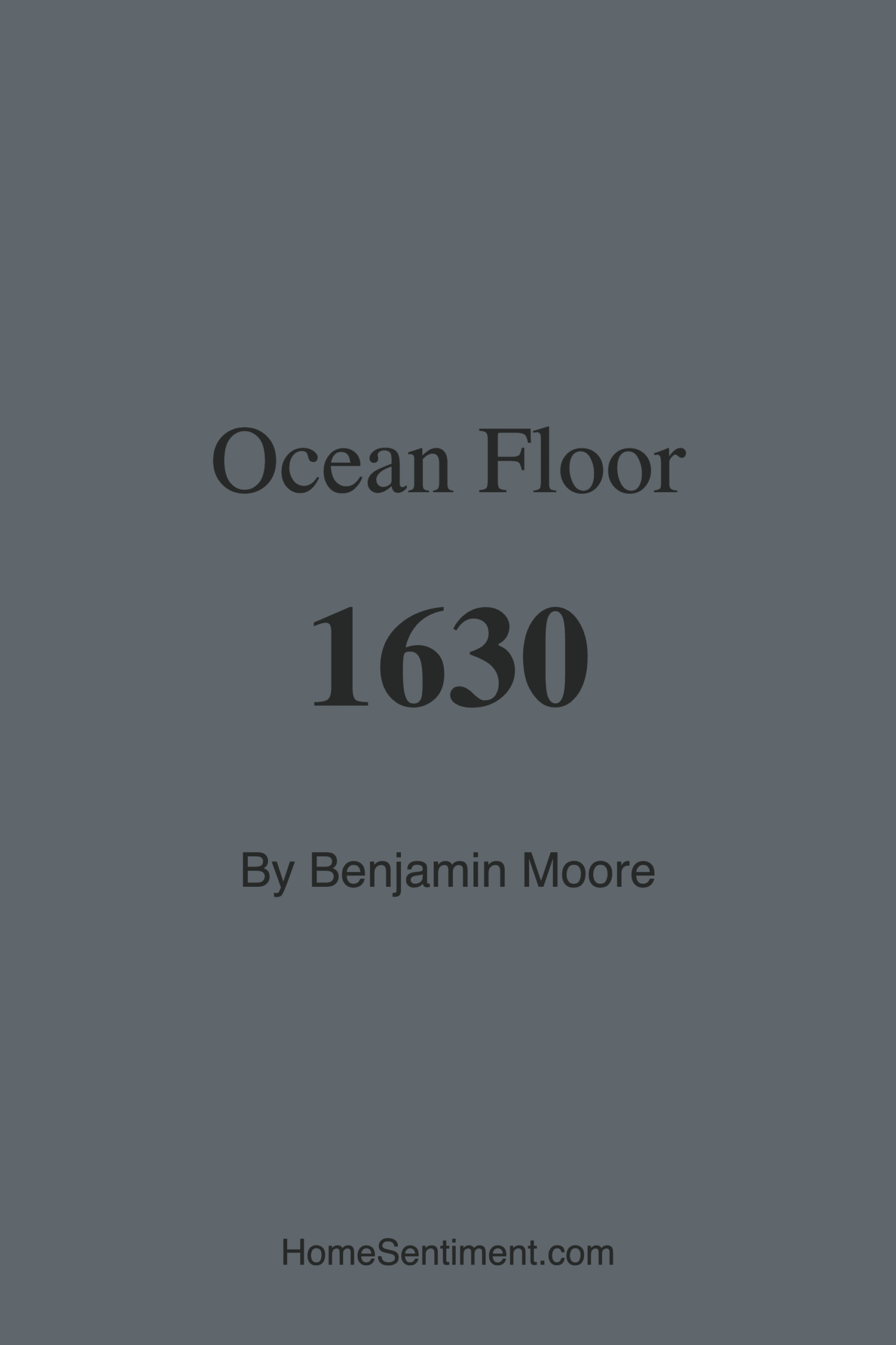 Ocean Floor 1630 by Benjamin Moore