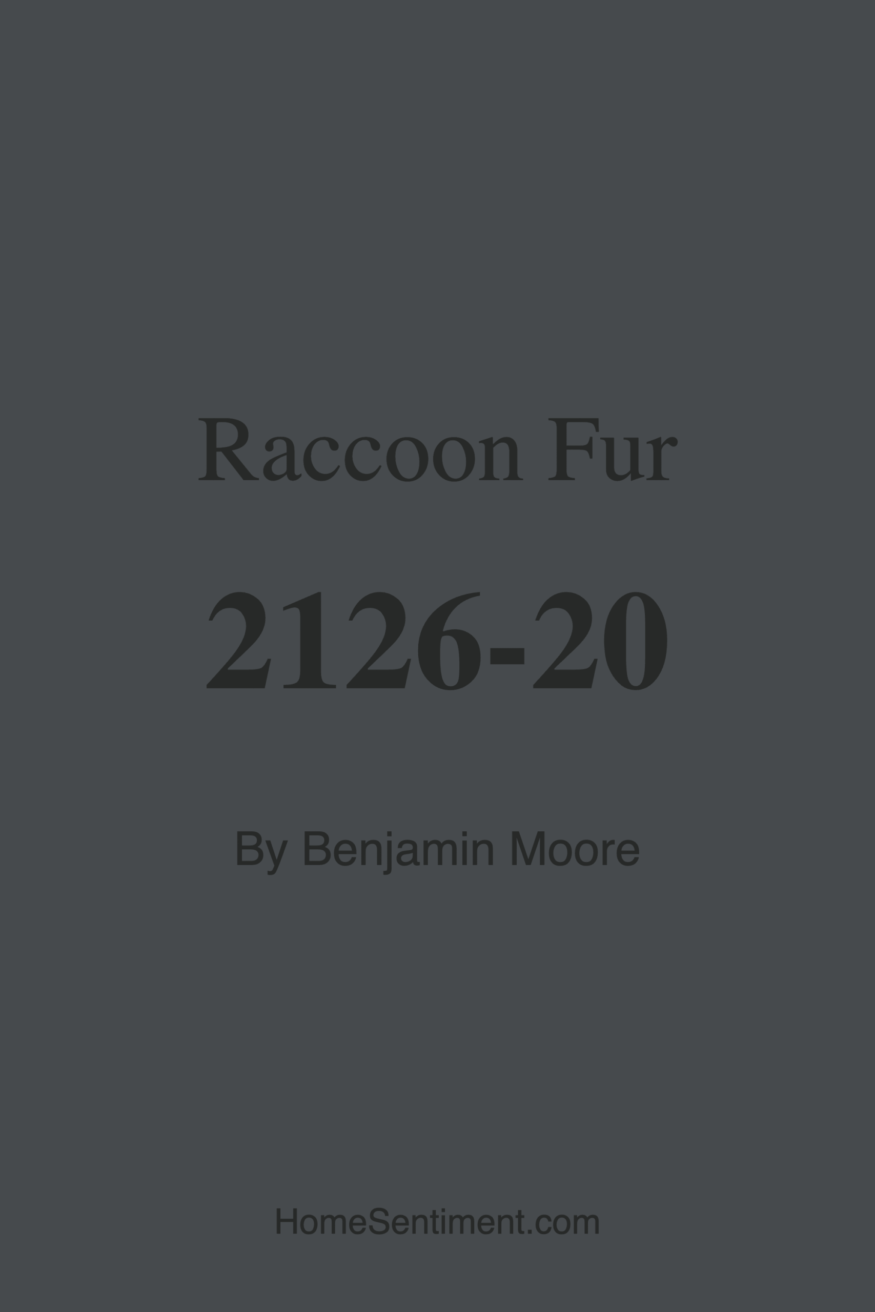 Raccoon Fur 2126-20 by Benjamin Moore