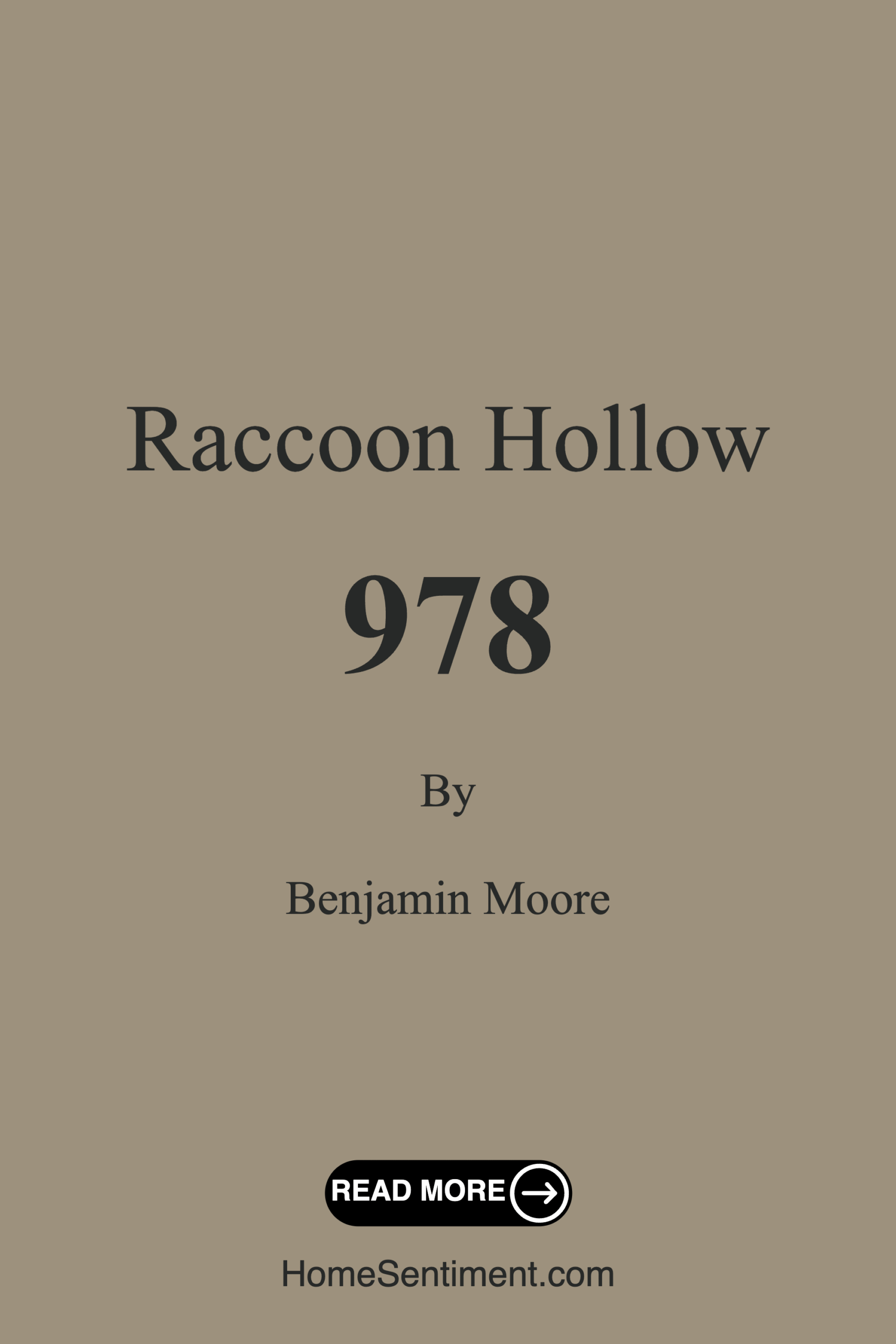 Raccoon Hollow 978 by Benjamin Moore
