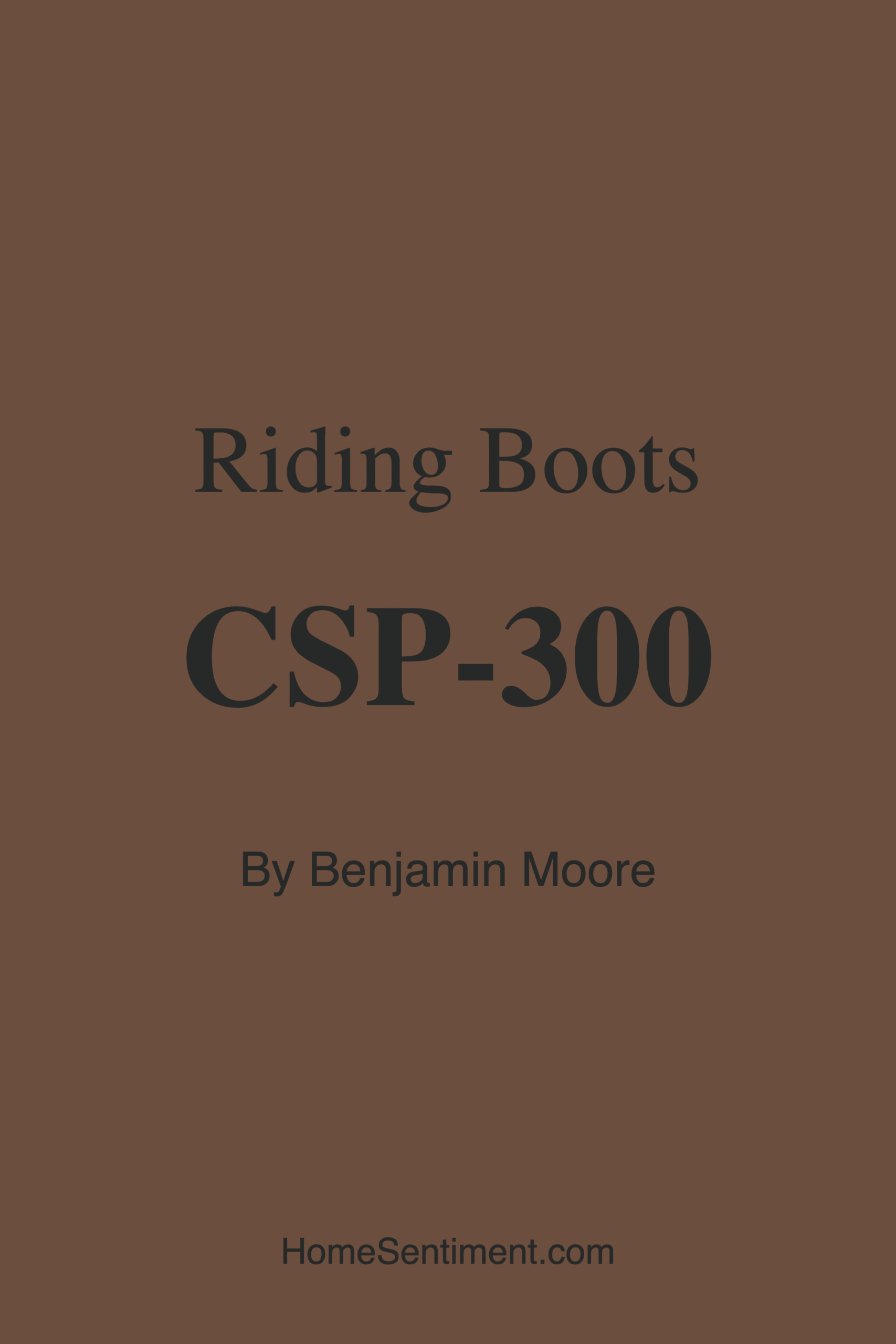 Riding Boots CSP-300 by Benjamin Moore
