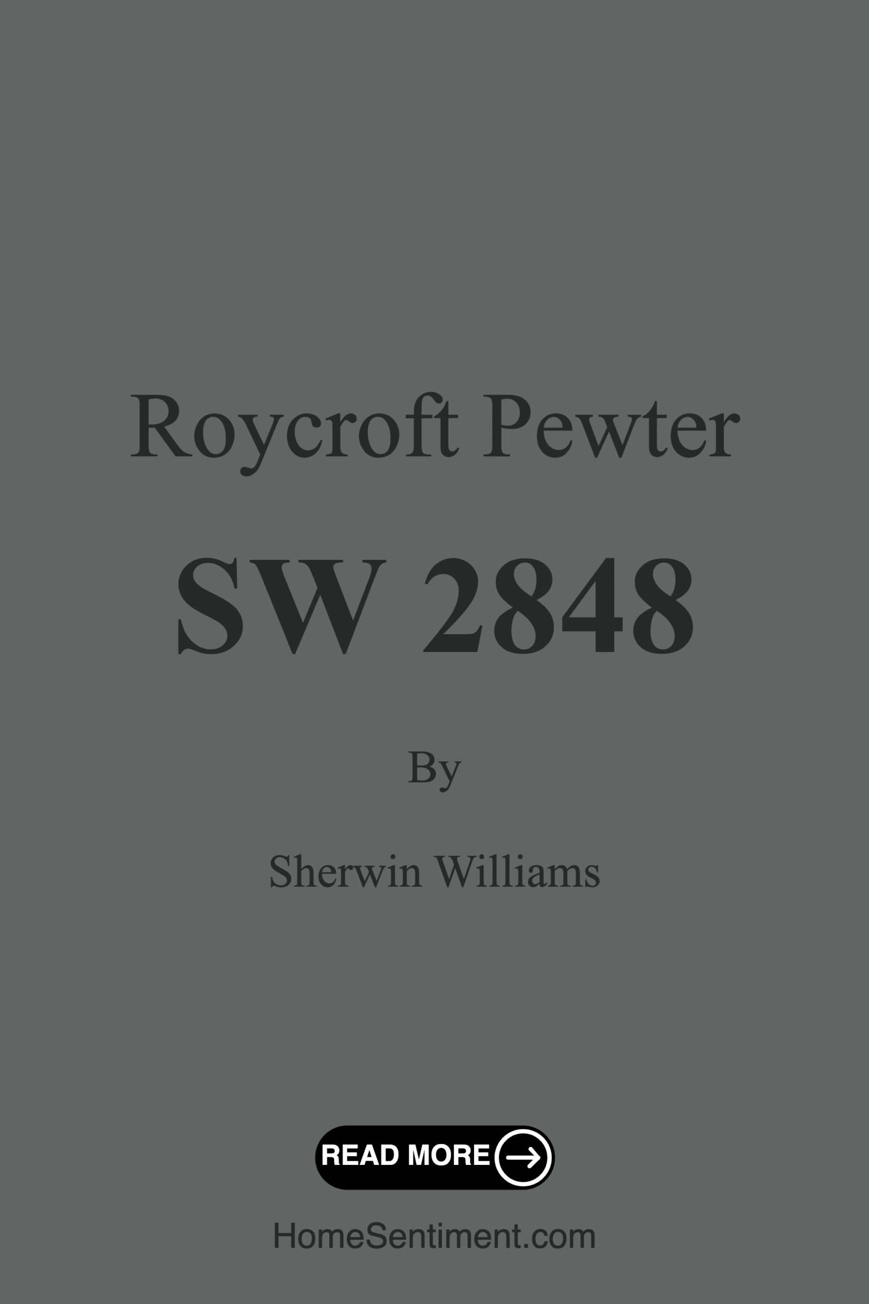 Roycroft Pewter SW 2848 by Sherwin Williams