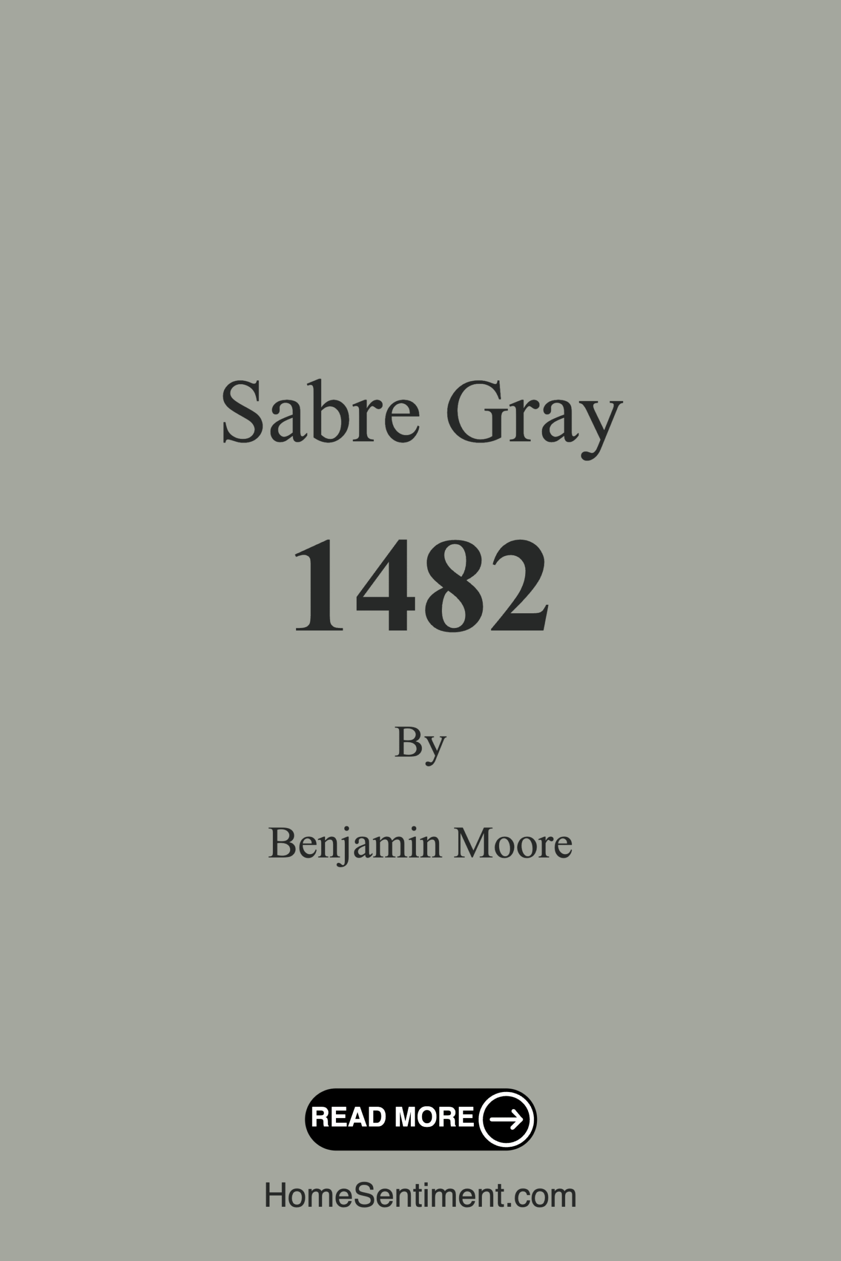 Sabre Gray 1482 by Benjamin Moore