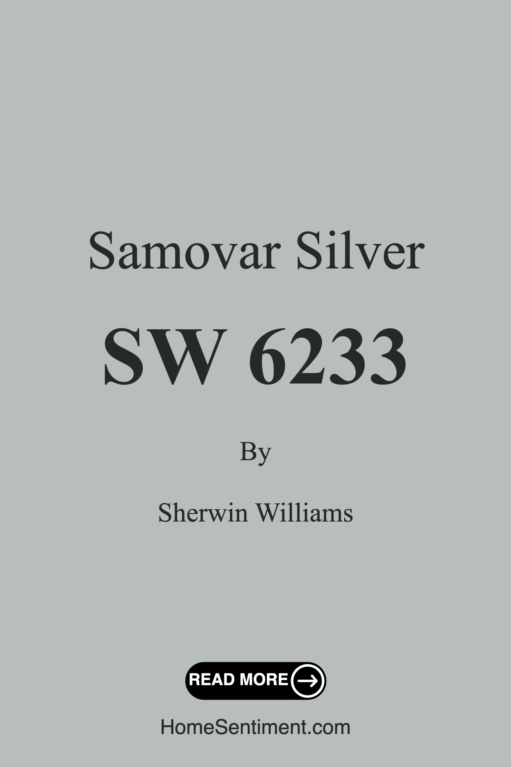 Samovar Silver SW 6233 by Sherwin Williams