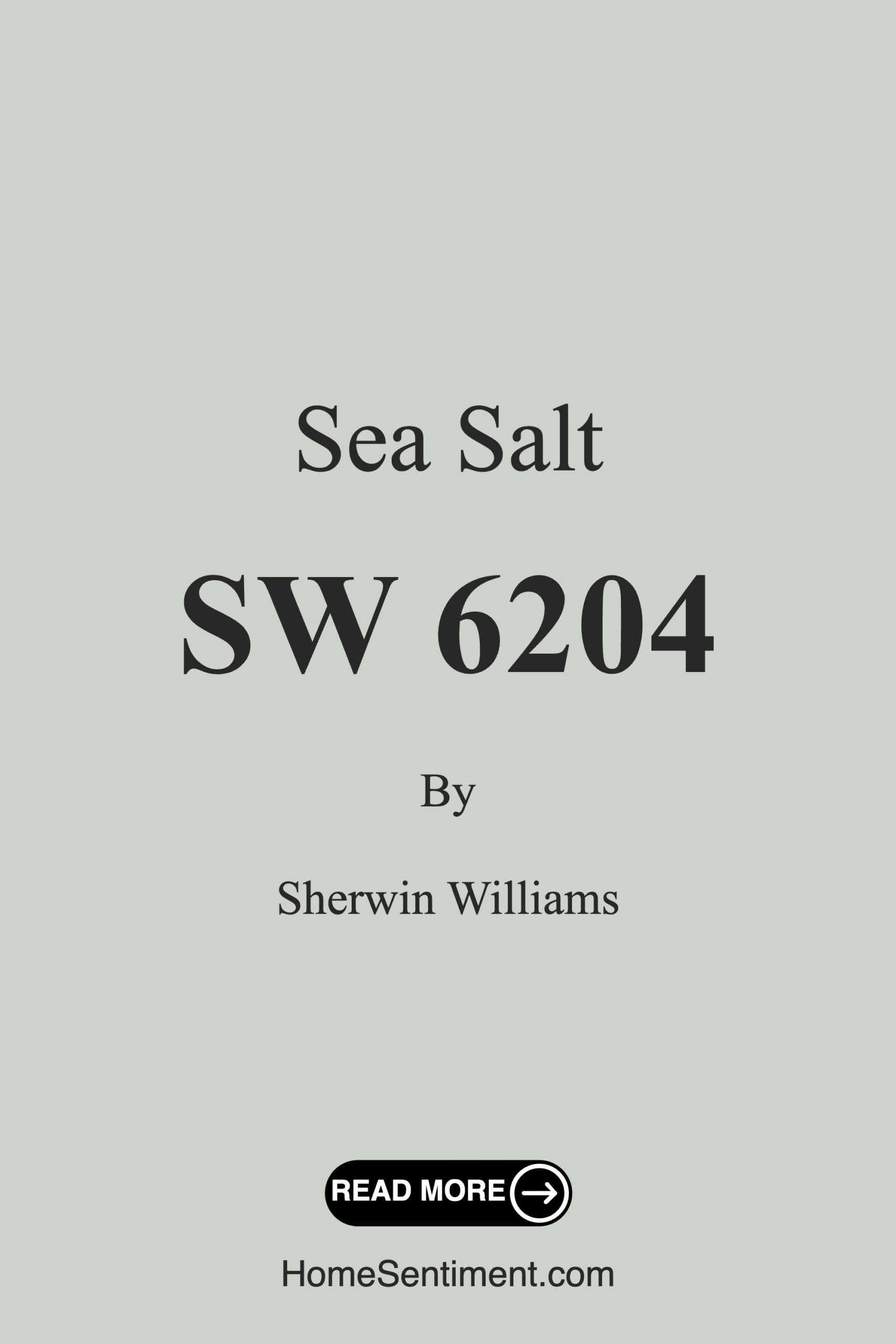 Sea Salt SW 6204 by Sherwin Williams