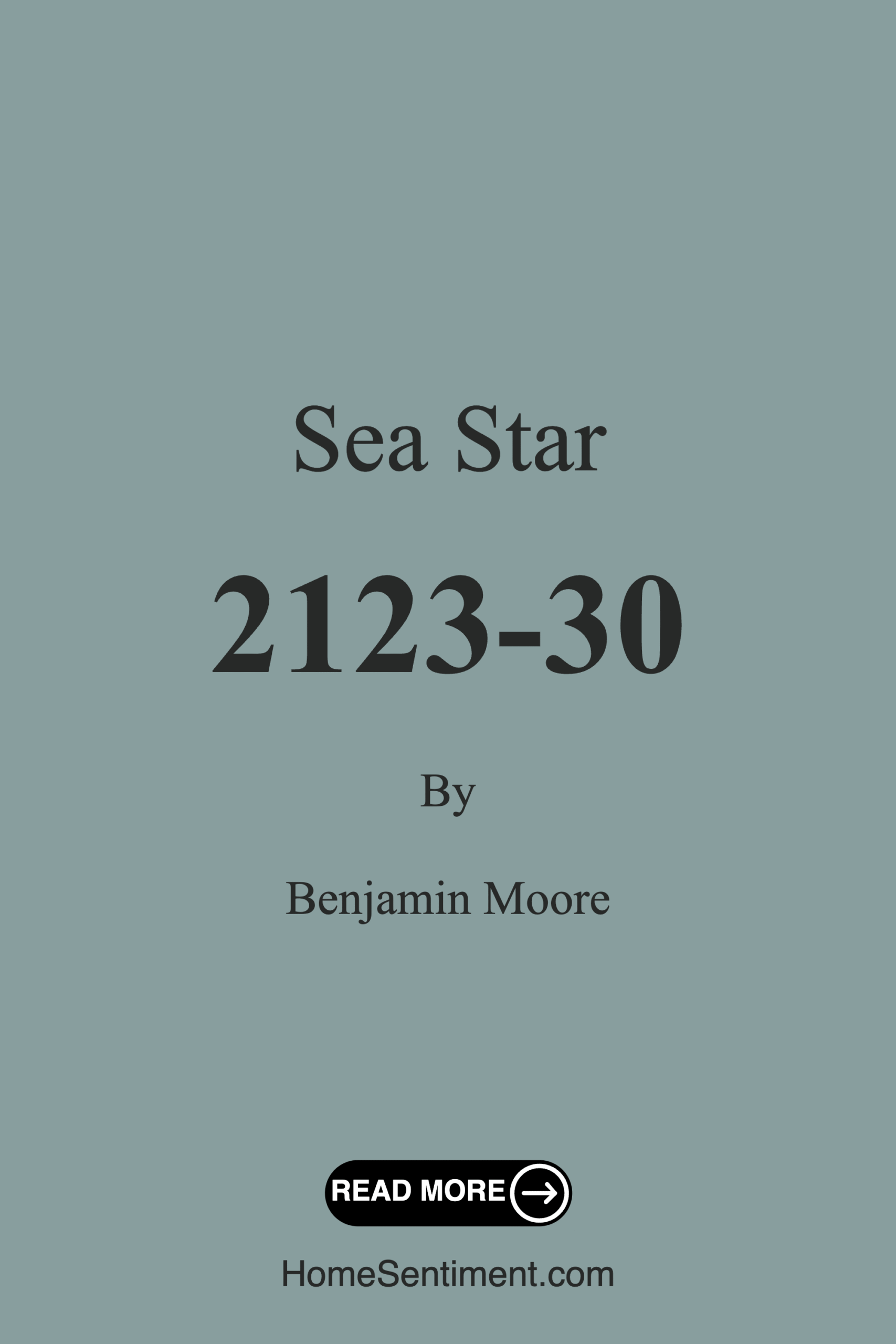 Sea Star 2123-30 by Benjamin Moore