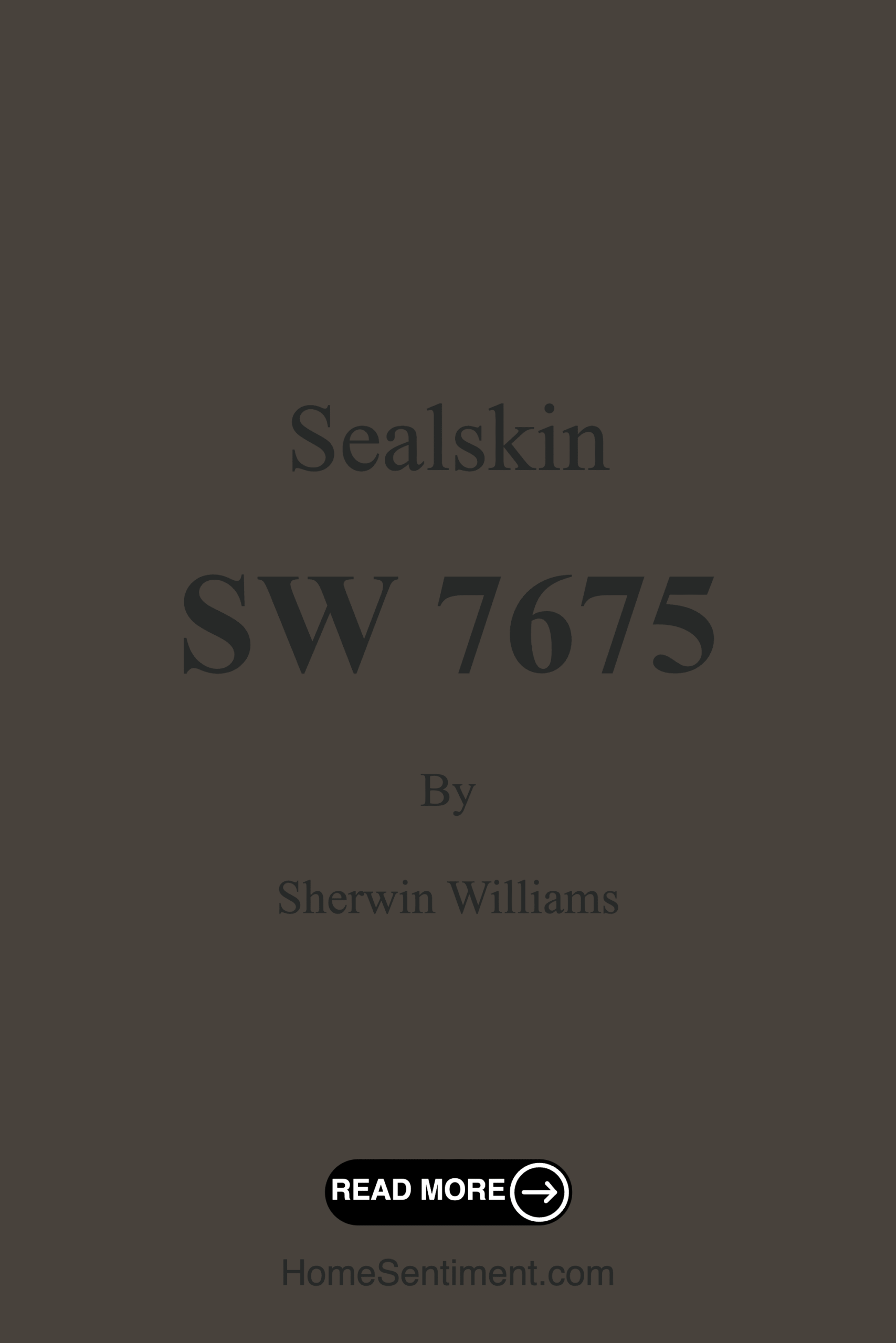 Sealskin SW 7675 by Sherwin Williams