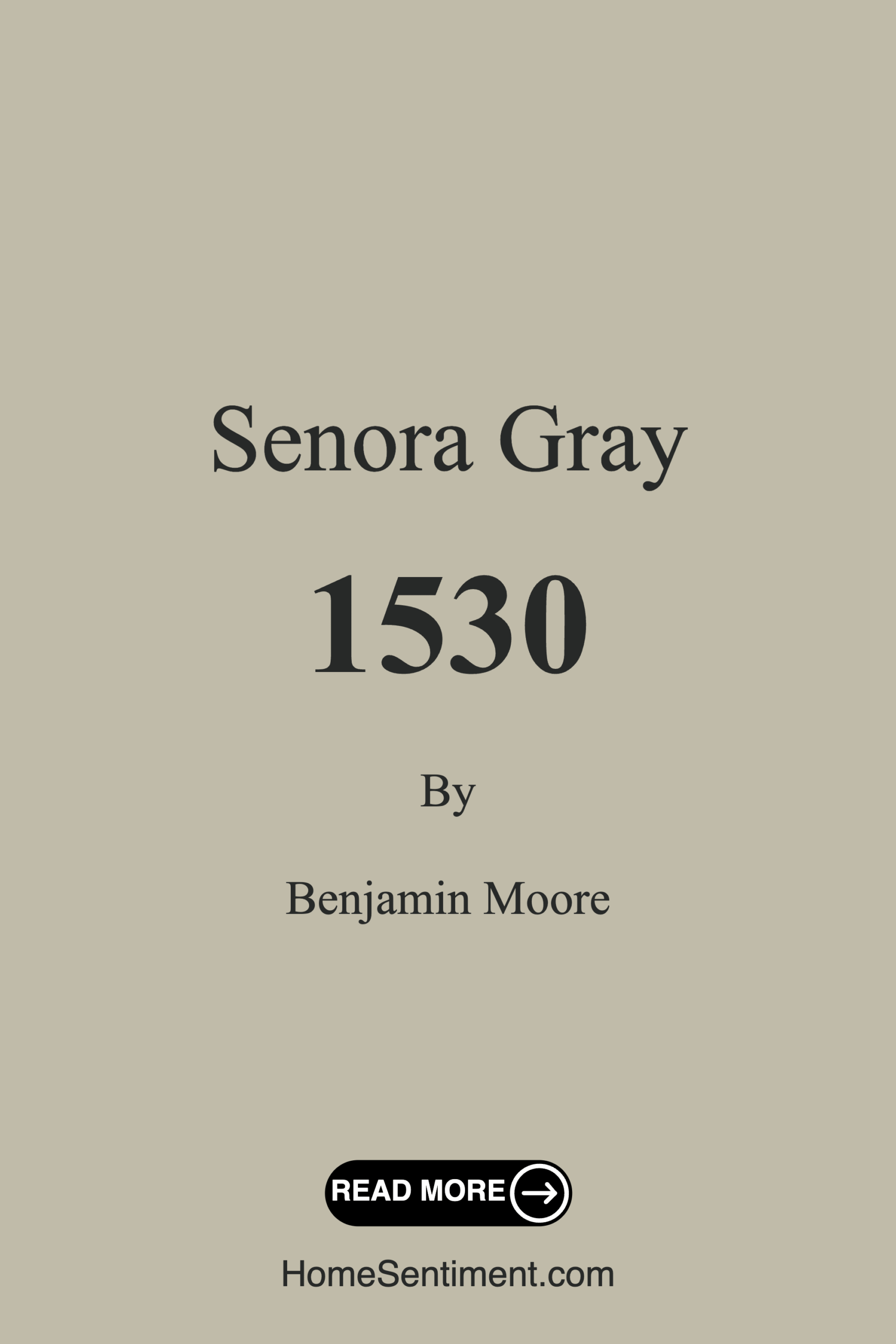 Senora Gray 1530 by Benjamin Moore