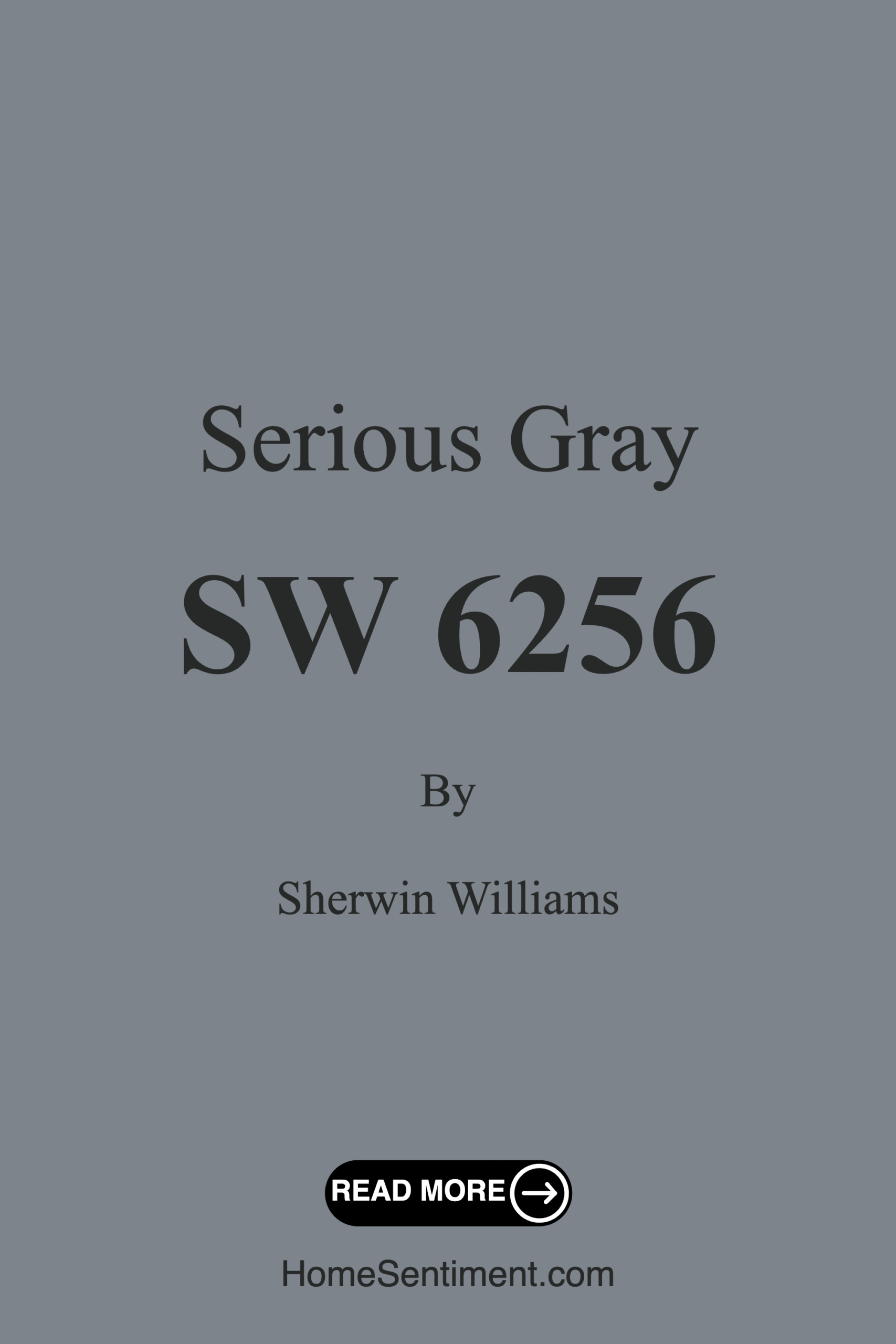 Serious Gray SW 6256 by Sherwin Williams