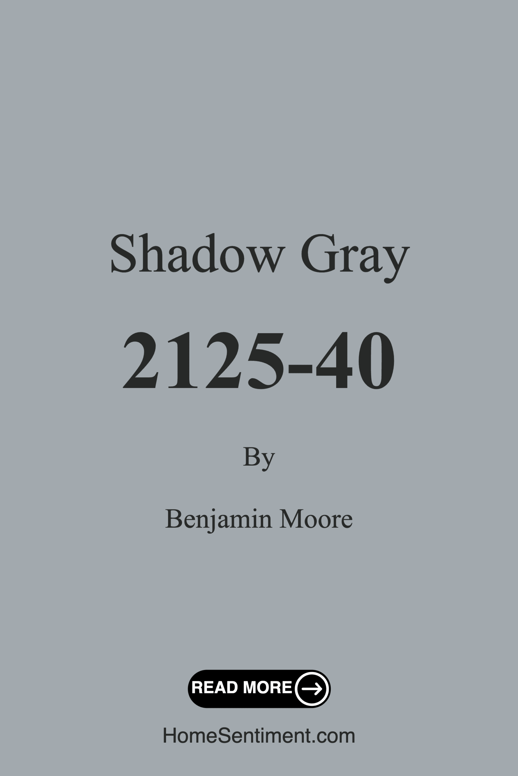 Shadow Gray 2125-40 by Benjamin Moore