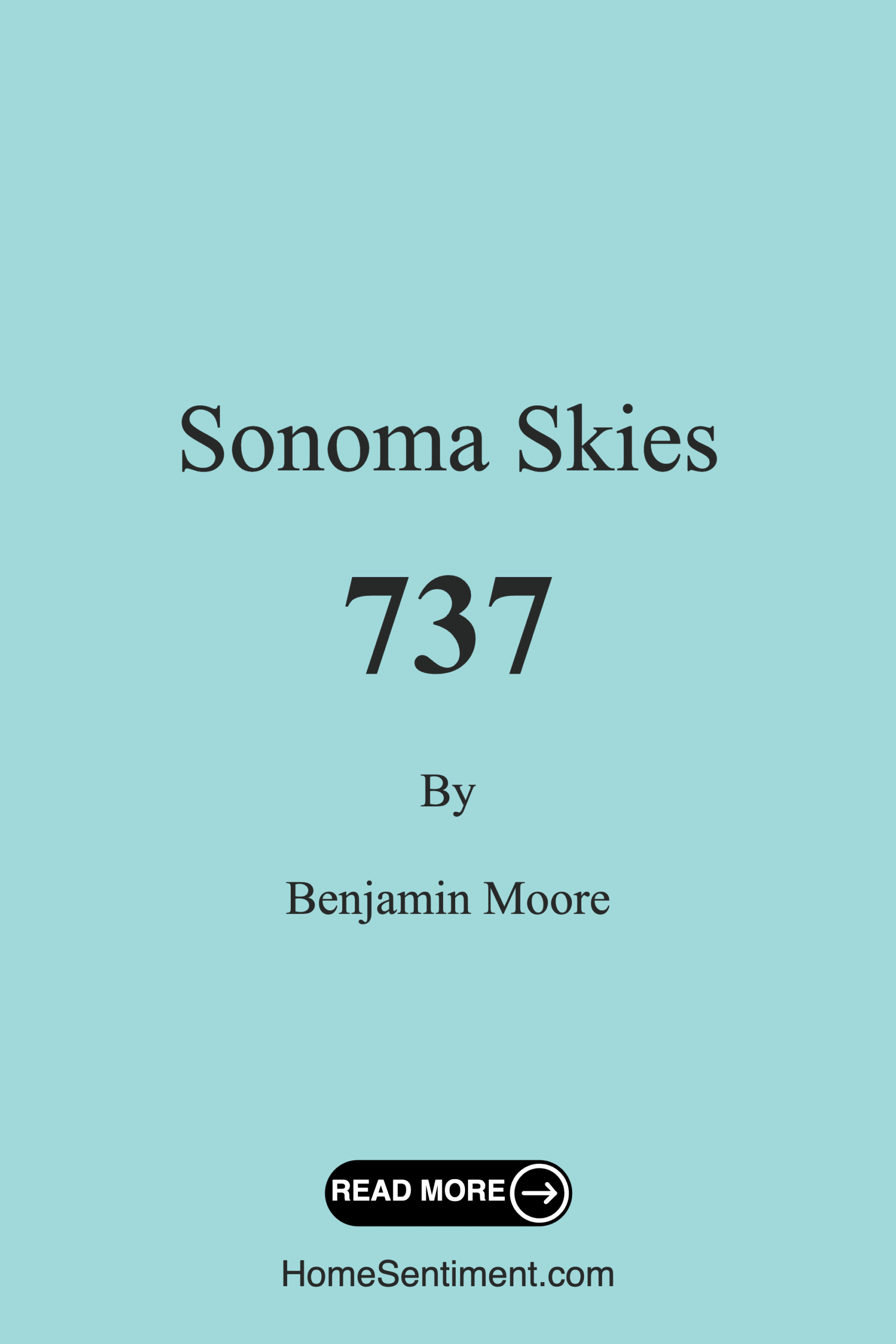 Sonoma Skies 737 by Benjamin Moore