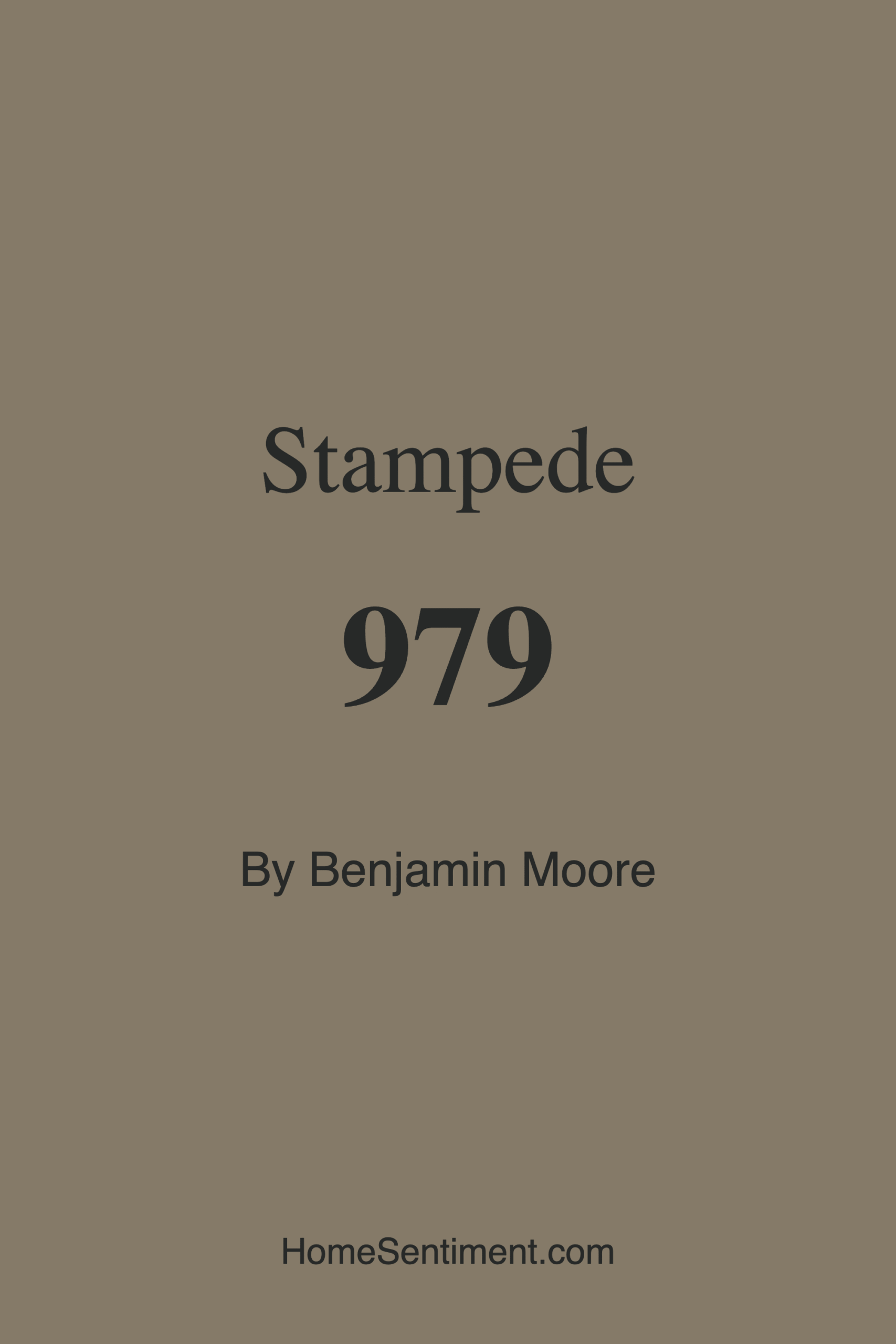 Stampede 979 by Benjamin Moore
