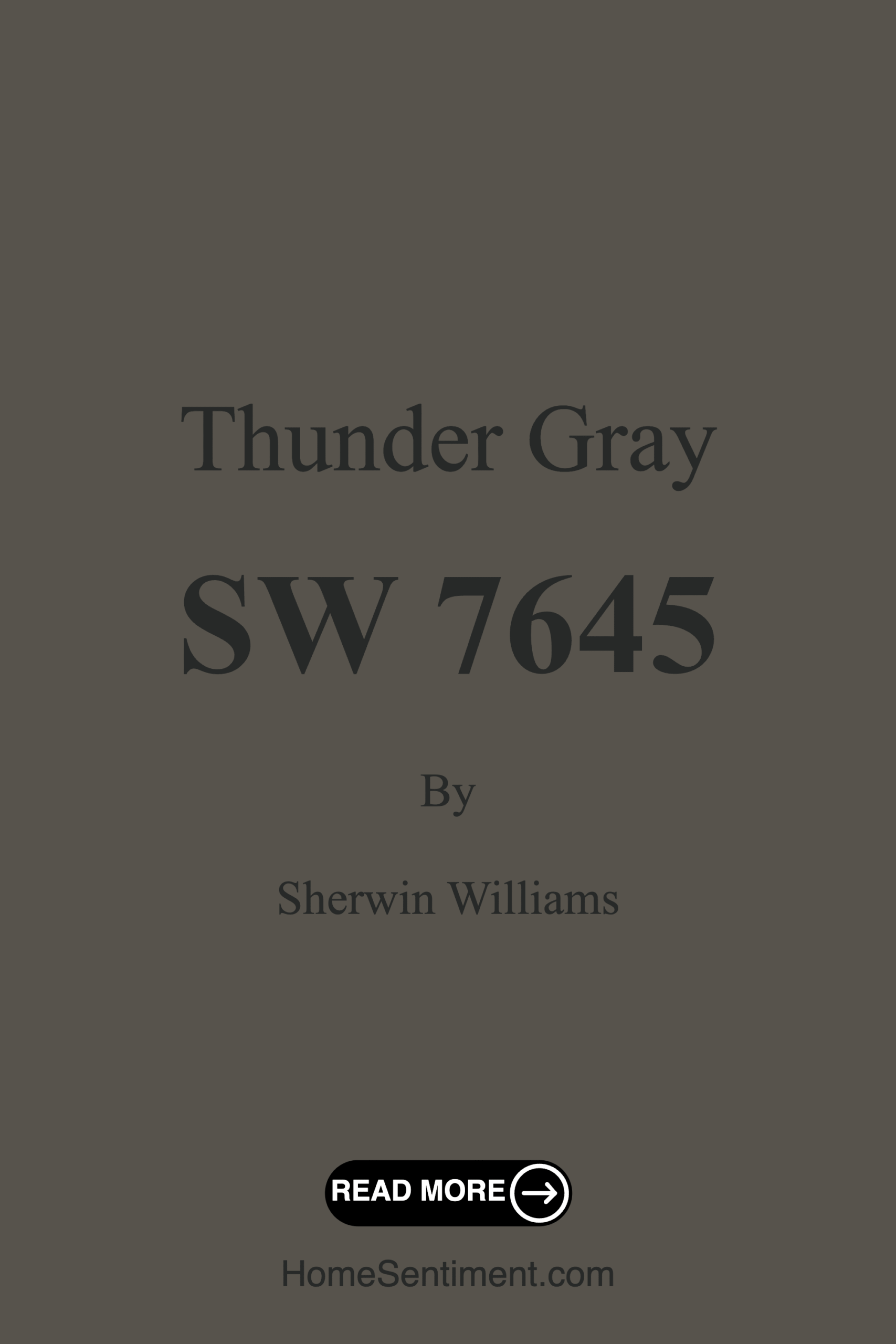 Thunder Gray SW 7645 by Sherwin Williams