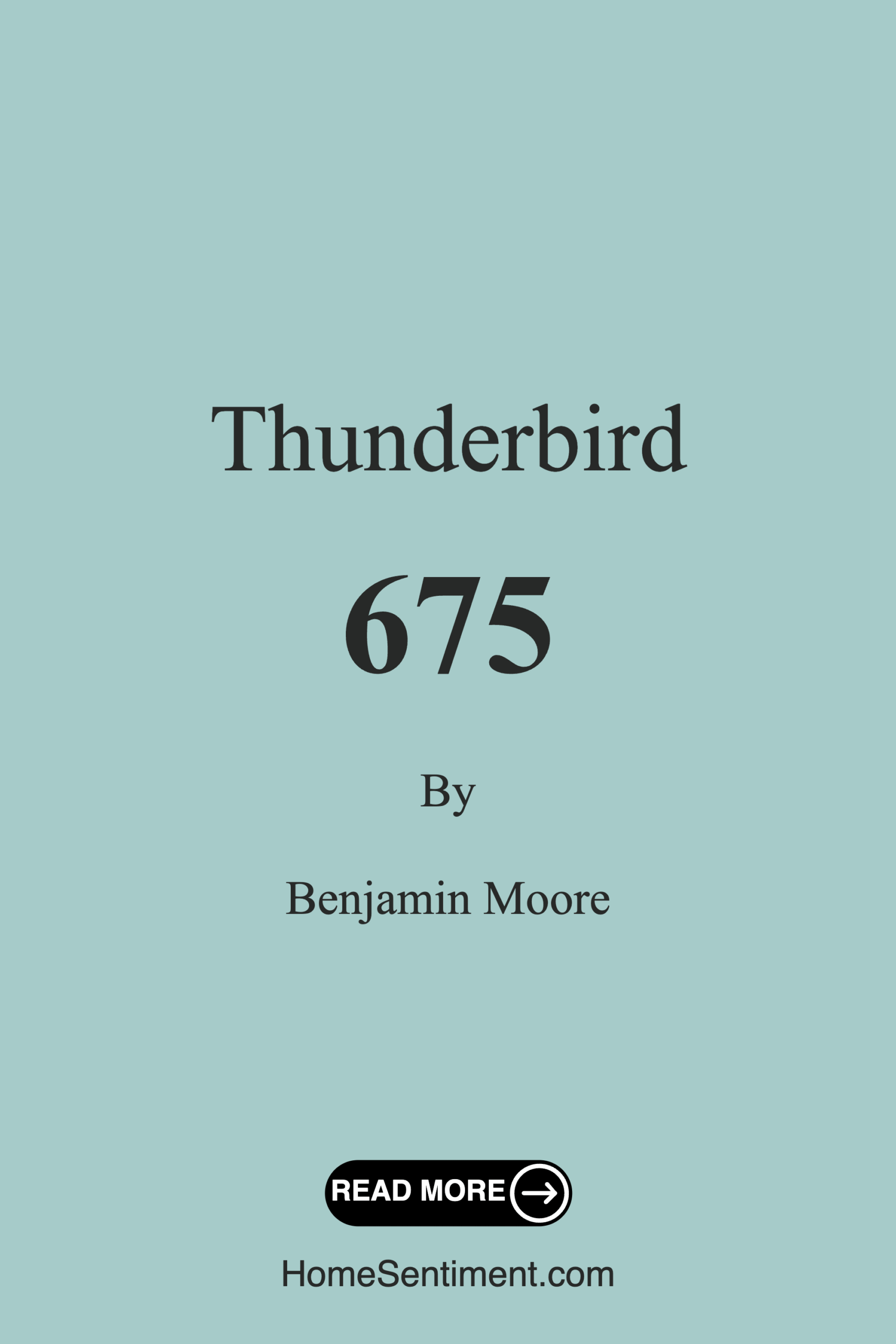 Thunderbird 675 by Benjamin Moore