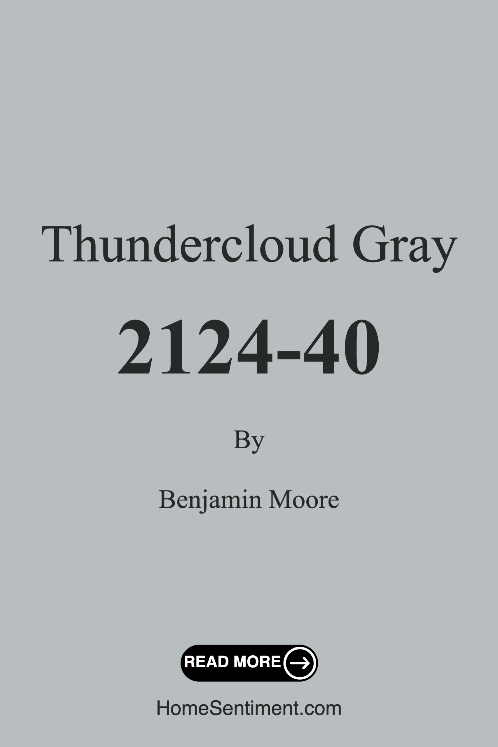 Thundercloud Gray 2124-40 by Benjamin Moore