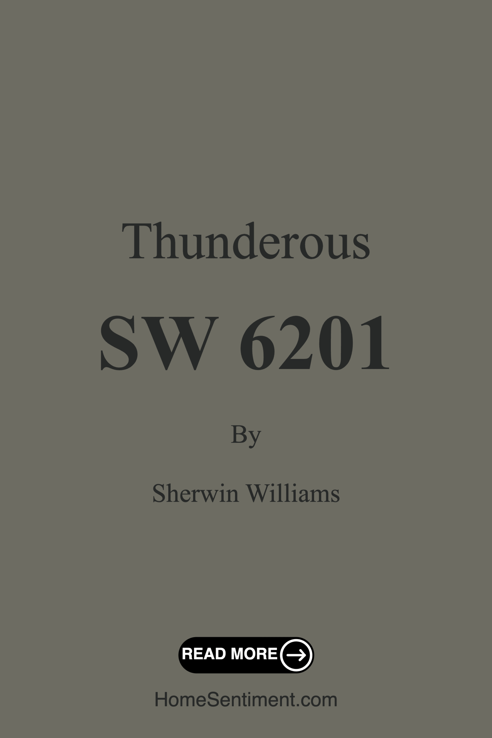 Thunderous SW 6201 by Sherwin Williams