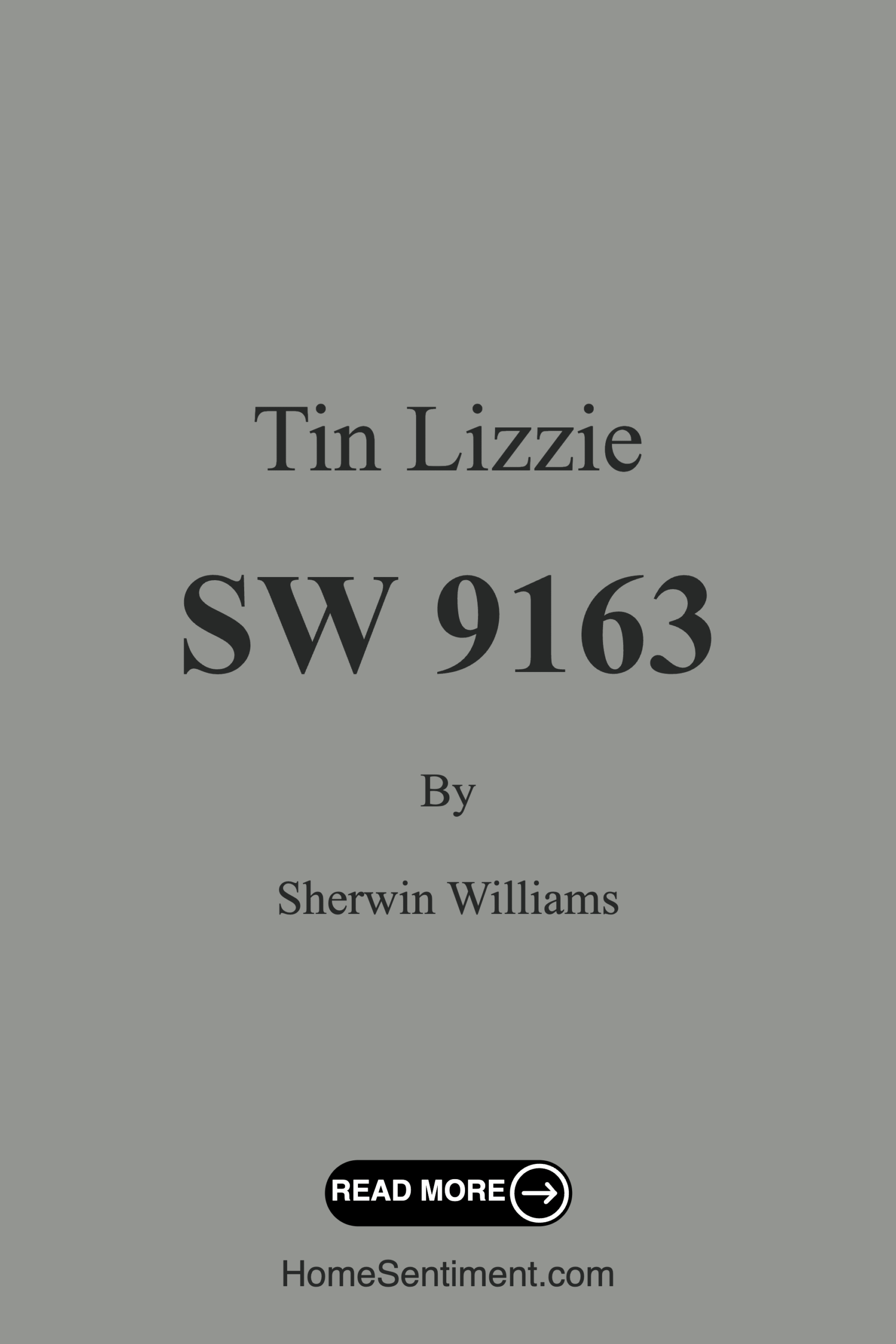 Tin Lizzie SW 9163 by Sherwin Williams
