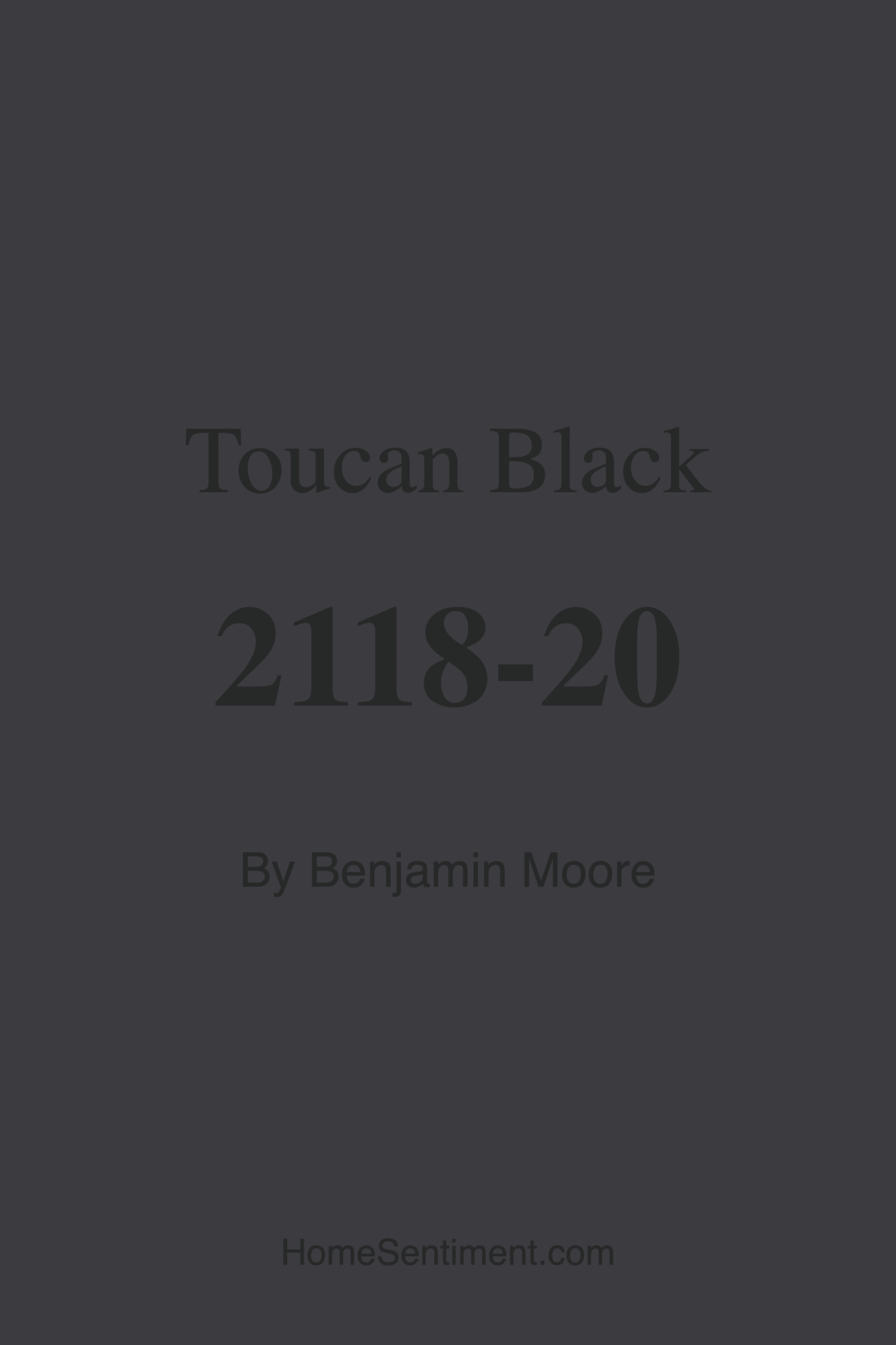 Toucan Black 2118-20 by Benjamin Moore