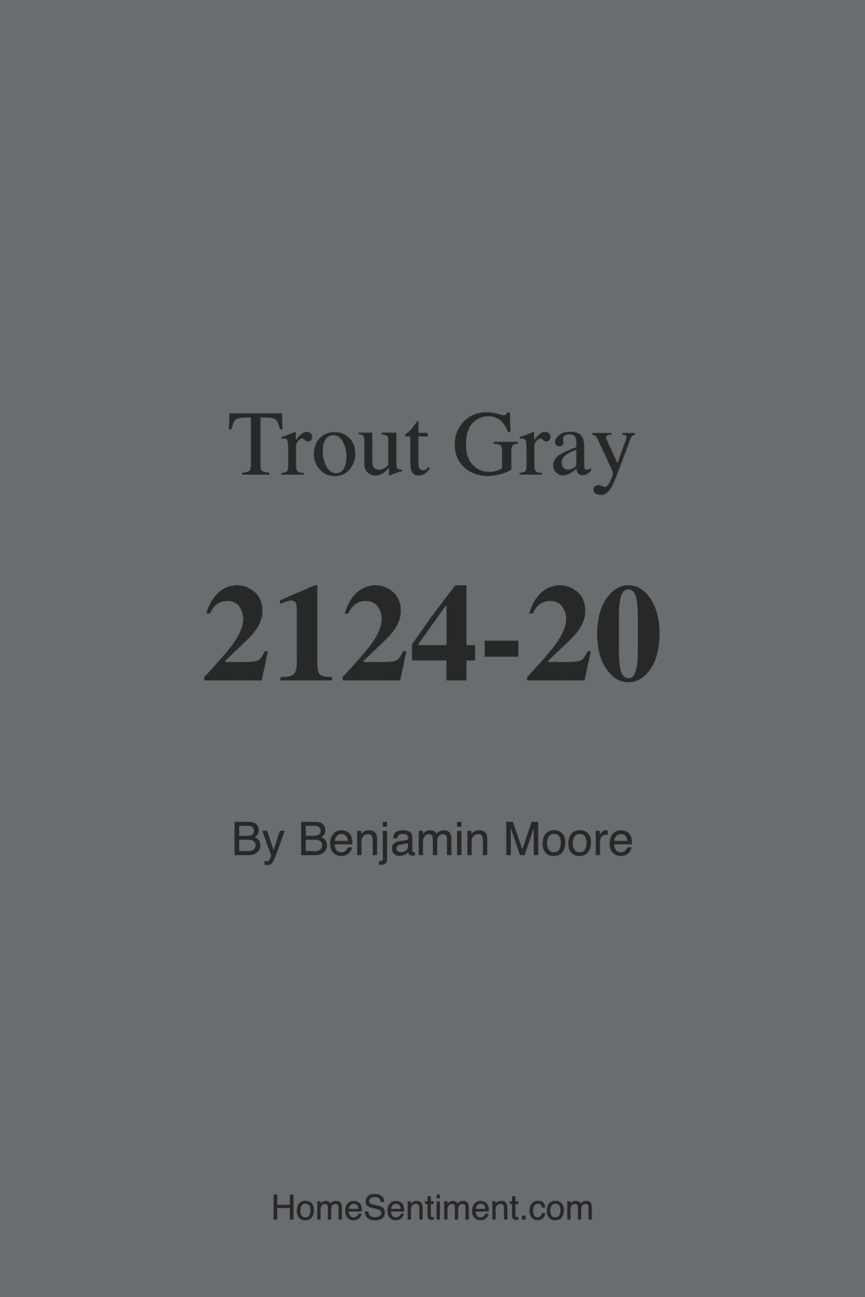 Trout Gray 2124-20 by Benjamin Moore