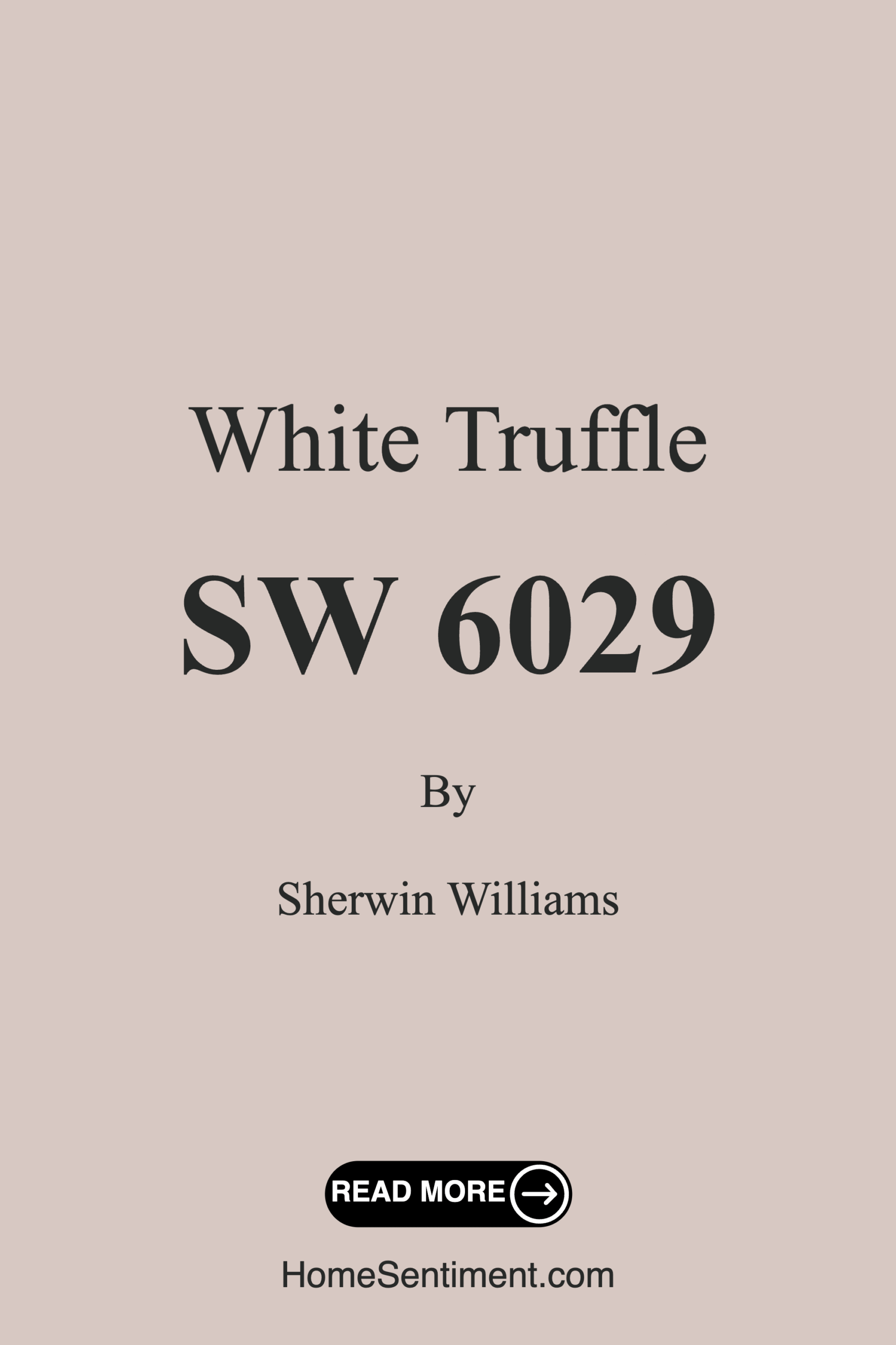 White Truffle SW 6029 by Sherwin Williams