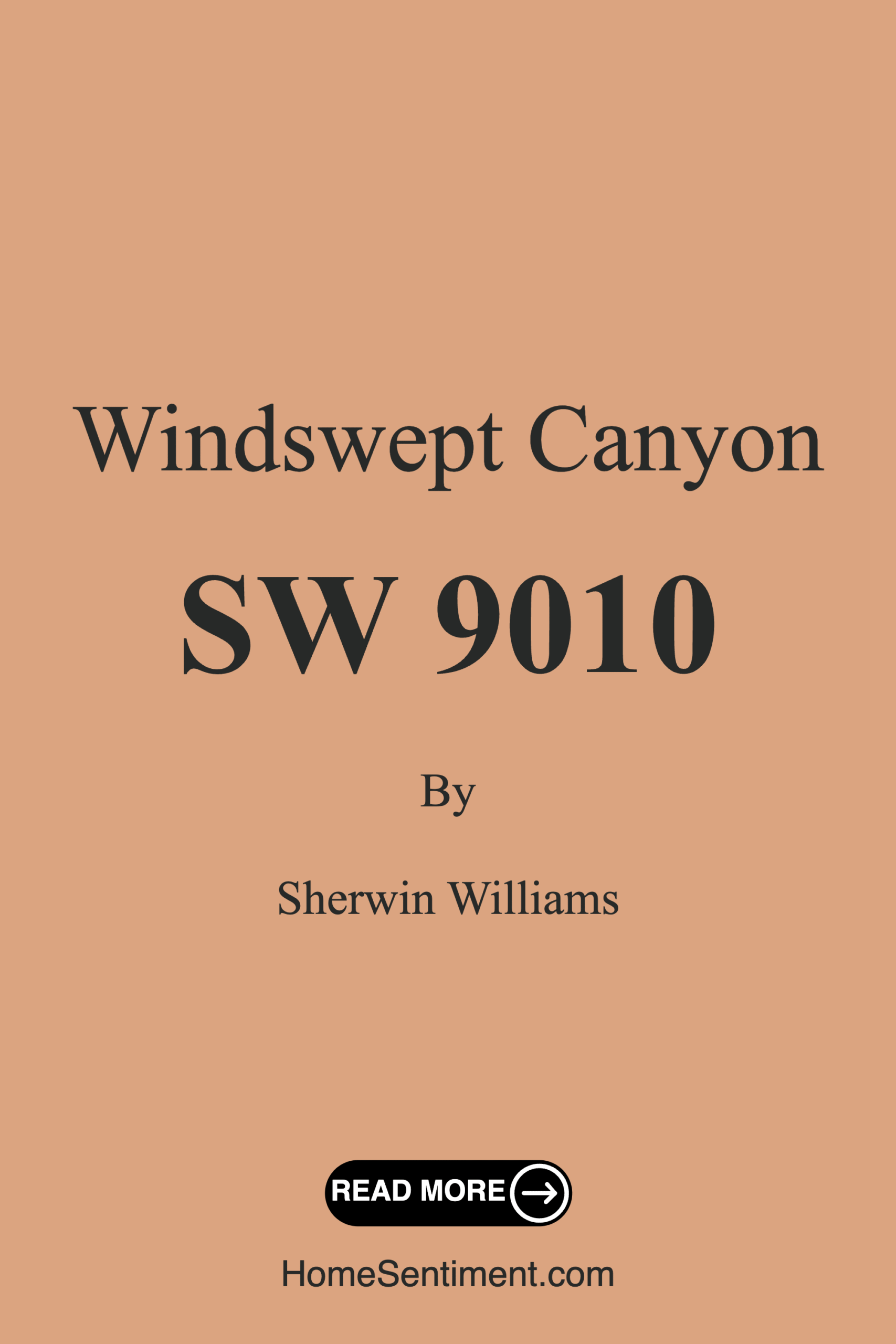 Windswept Canyon SW 9010 by Sherwin Williams