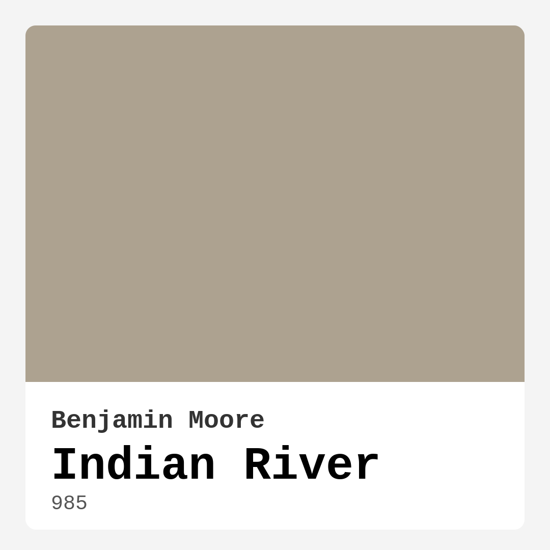 Indian River 985 by Benjamin Moore
