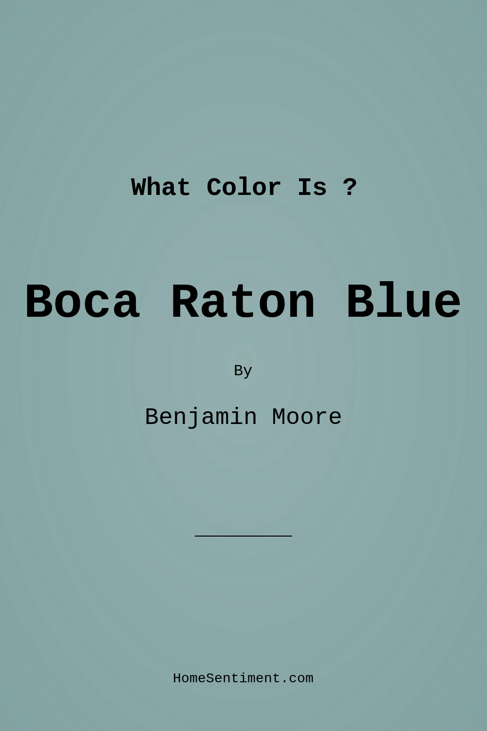 Boca Raton Blue 711 by Benjamin Moore