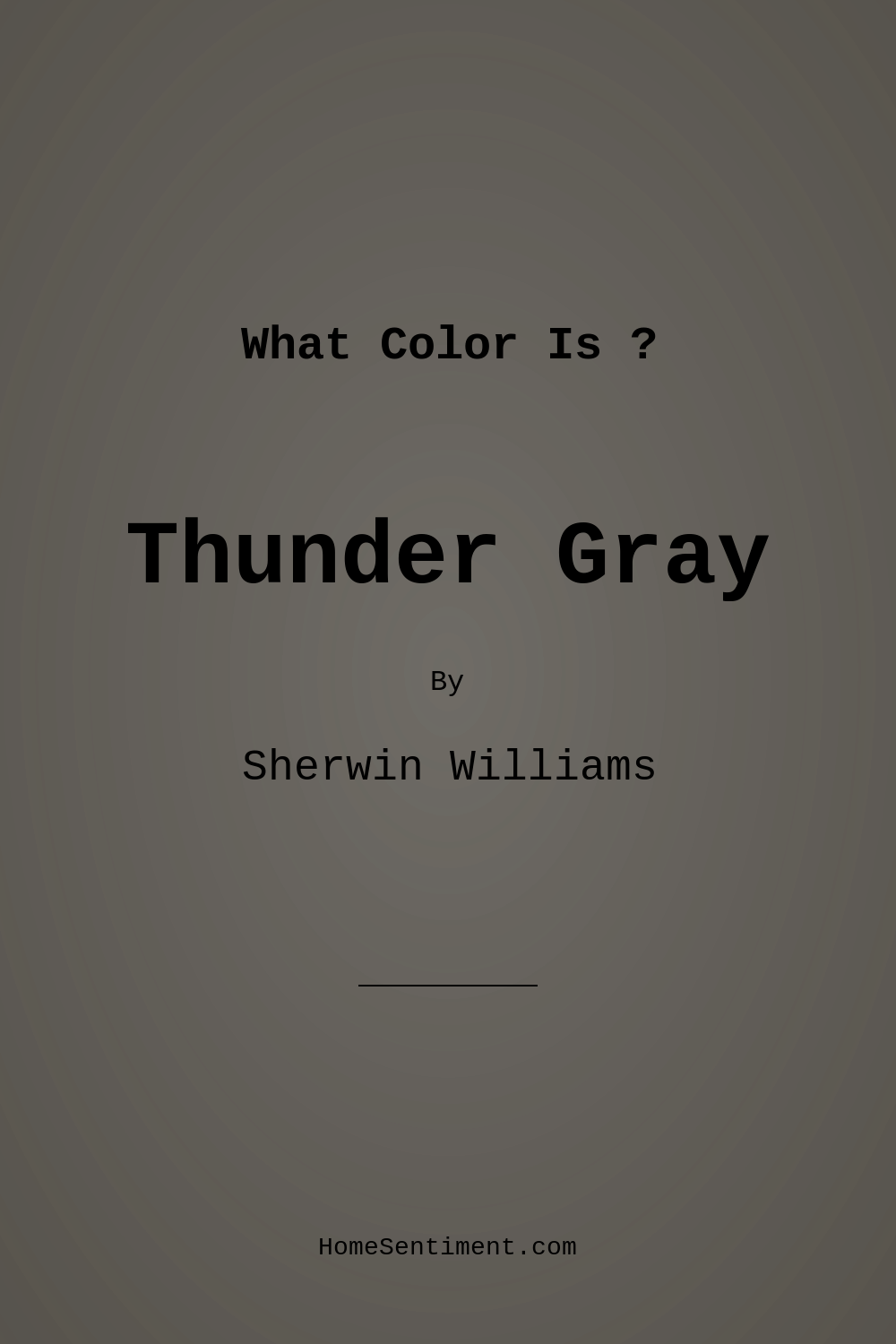 Thunder Gray SW 7645 by Sherwin Williams