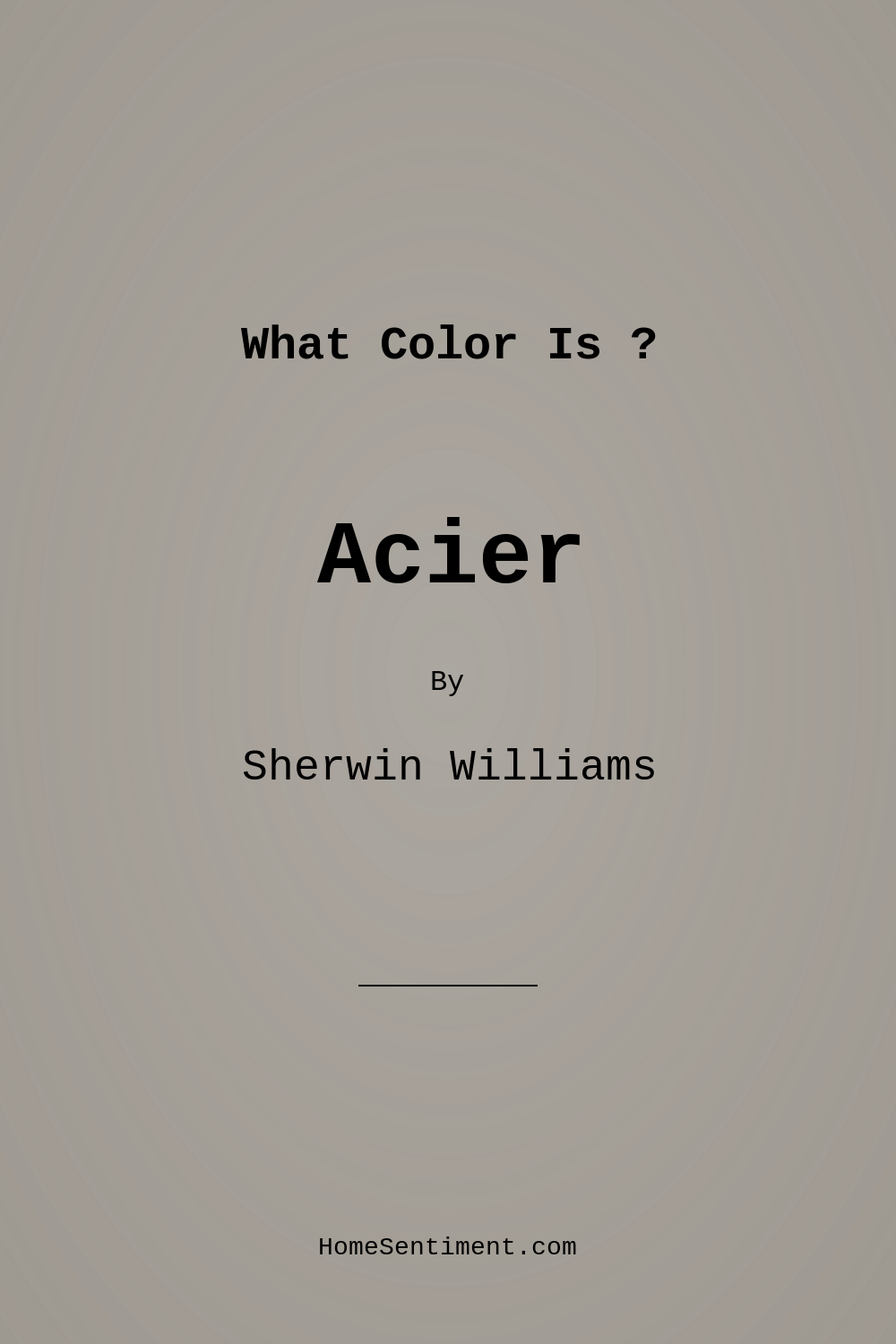 Acier SW 9170 by Sherwin Williams